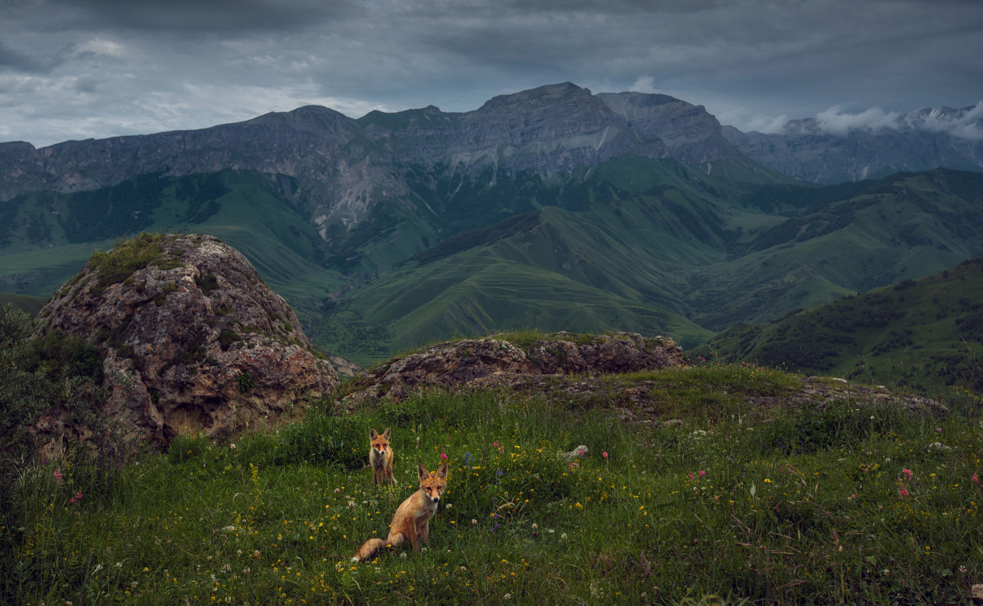 Landscapes. Фотограф — Денис Богомолов