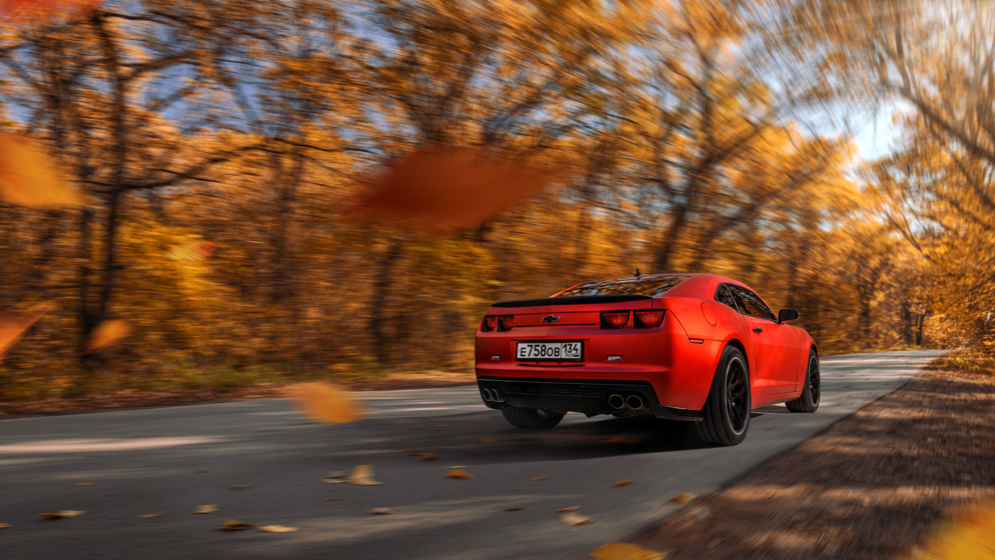 Cars. Фотограф — Денис Богомолов