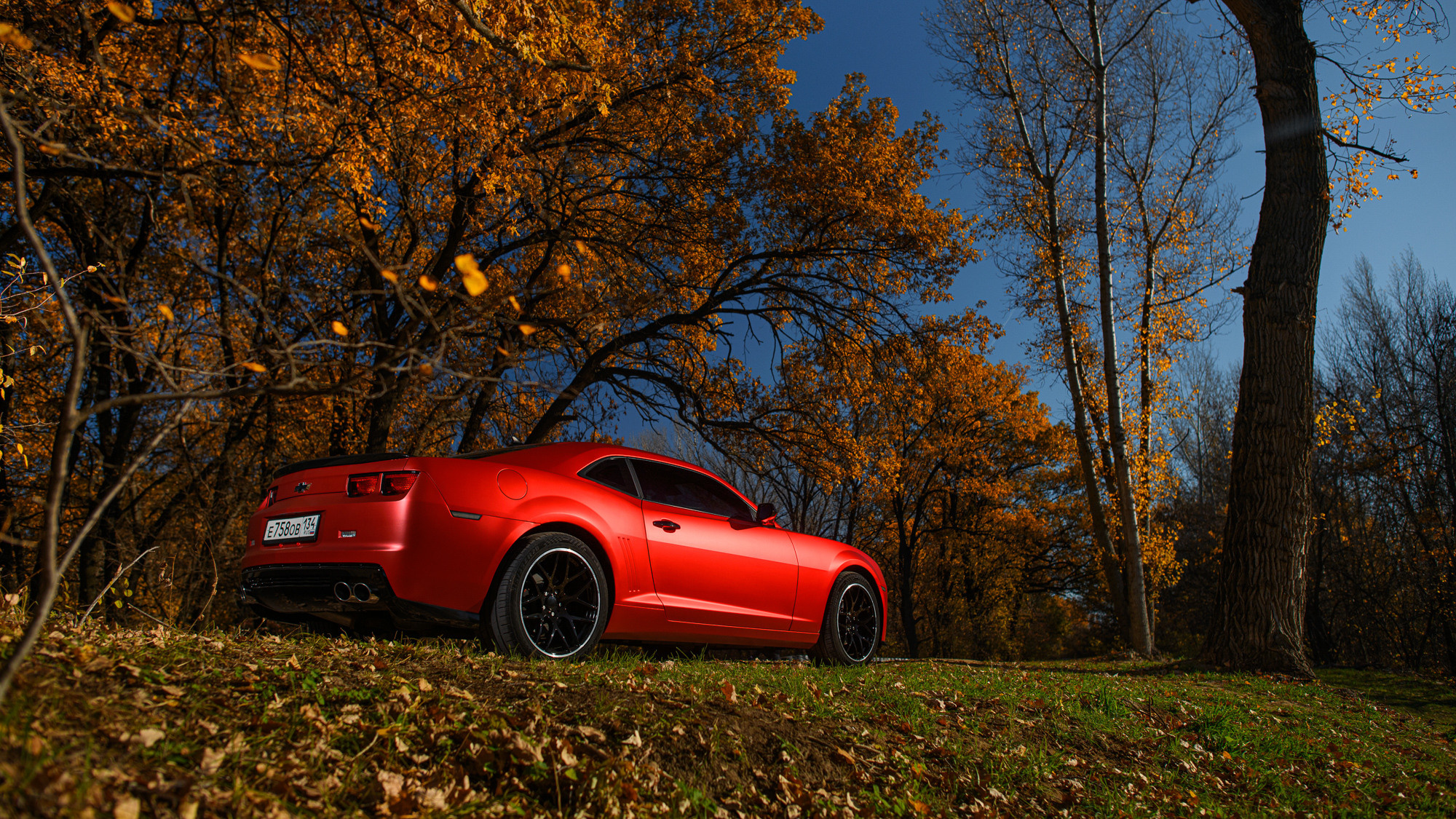 Cars. Фотограф — Денис Богомолов
