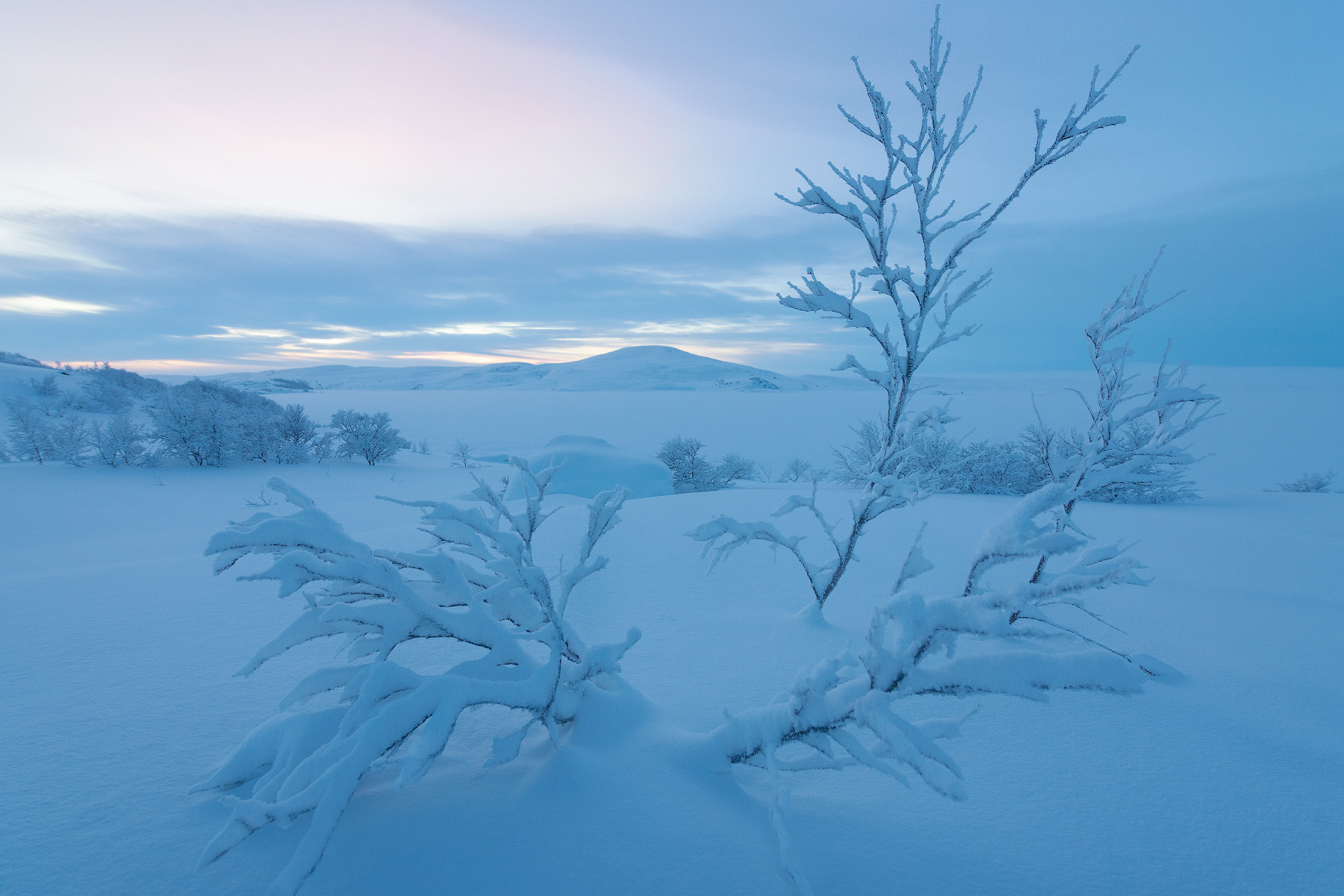 Landscapes. Фотограф — Денис Богомолов
