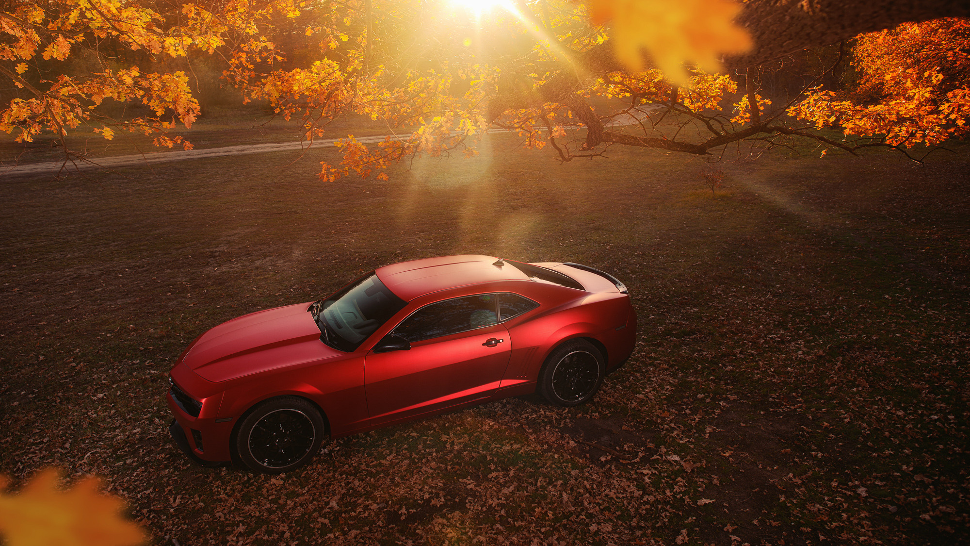 Cars. Фотограф — Денис Богомолов