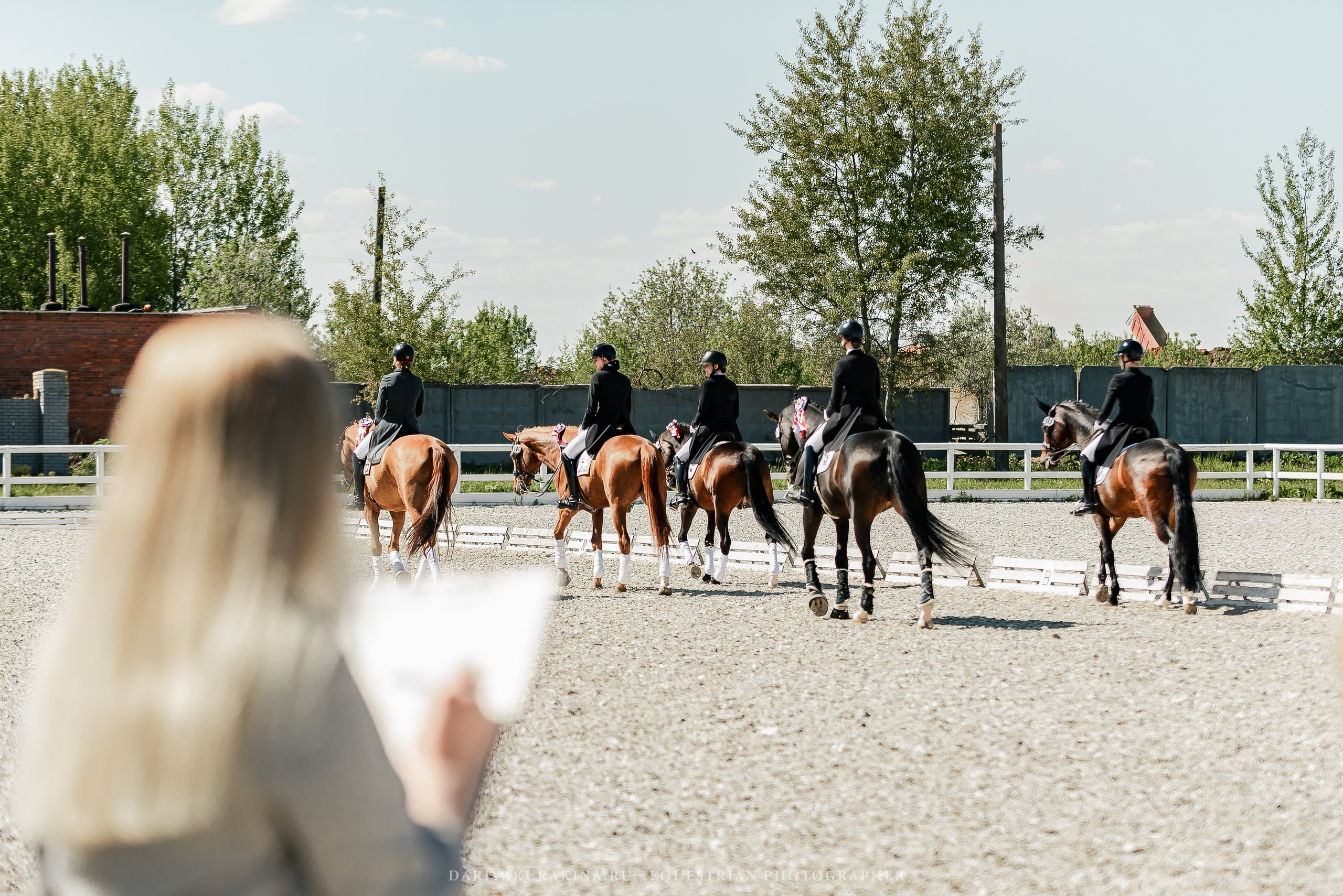 РЕПОРТАЖ МКК ВОЛЬТ «LA TULIPS». Конный фотограф Куракина Дарья • Фотосессии с лошадьми