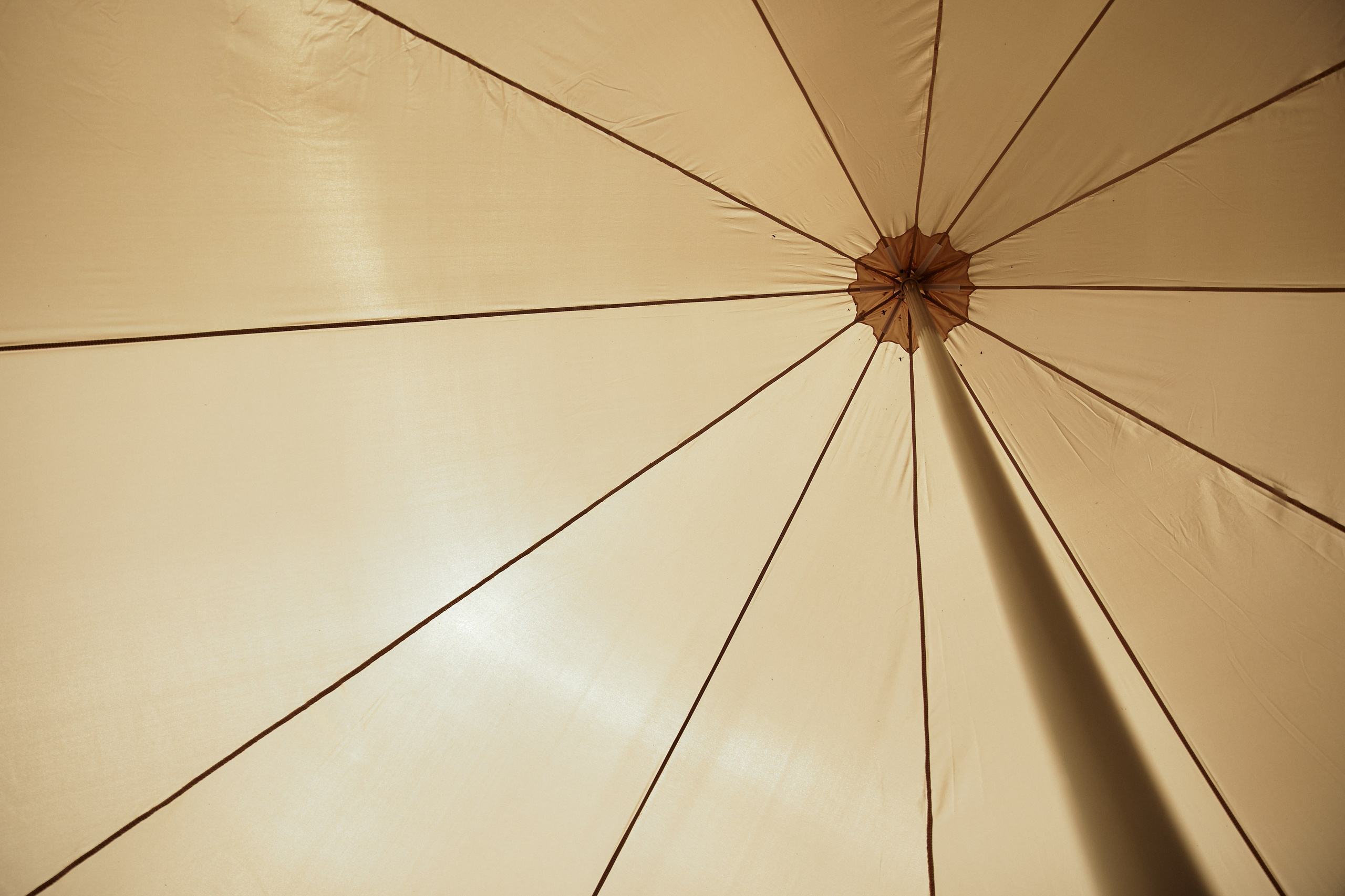 BG. Дмитрий Мазуркевич: Профессиональный Репортажный Фотограф