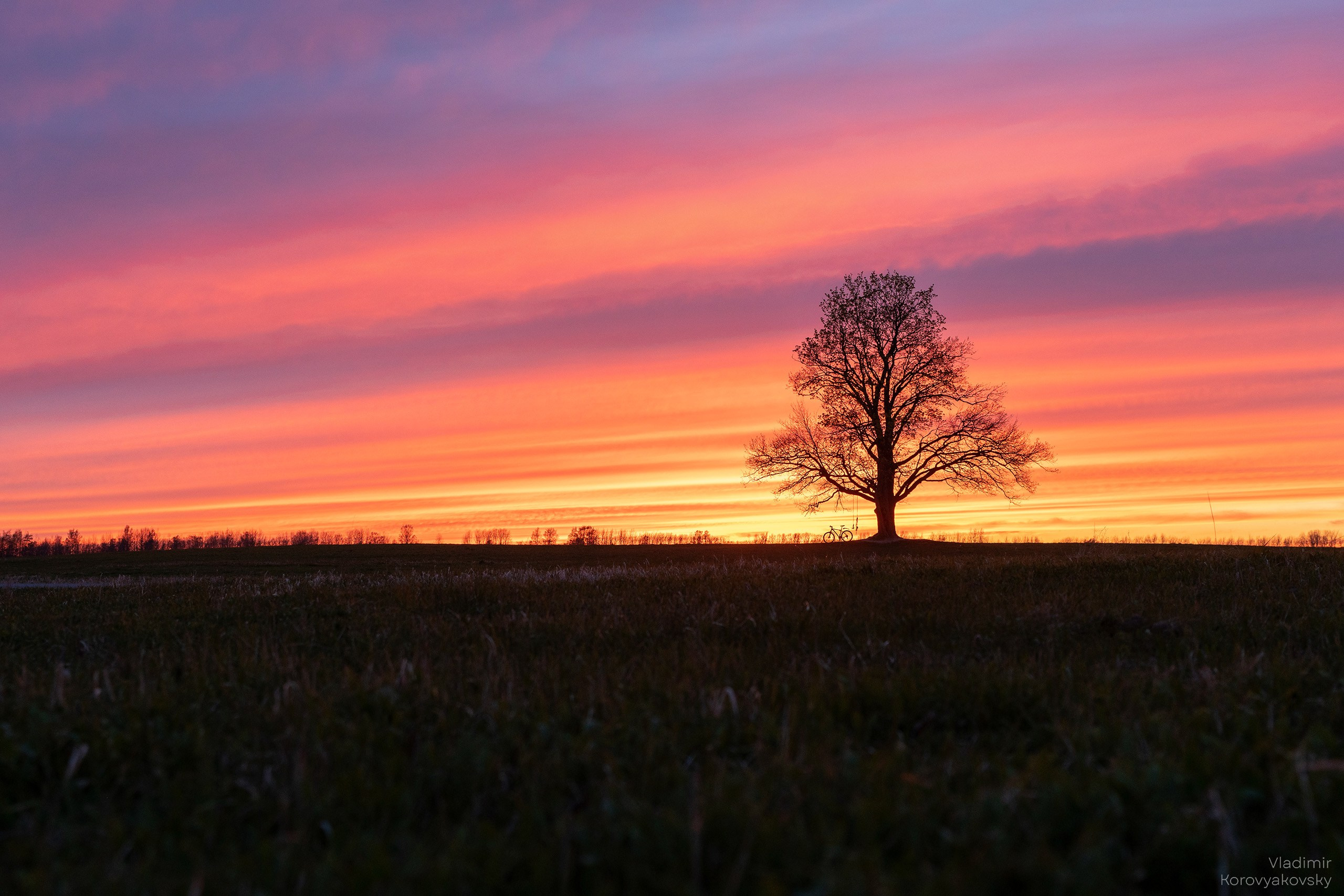Nature. Photographer Vladimir Korovyakovsky