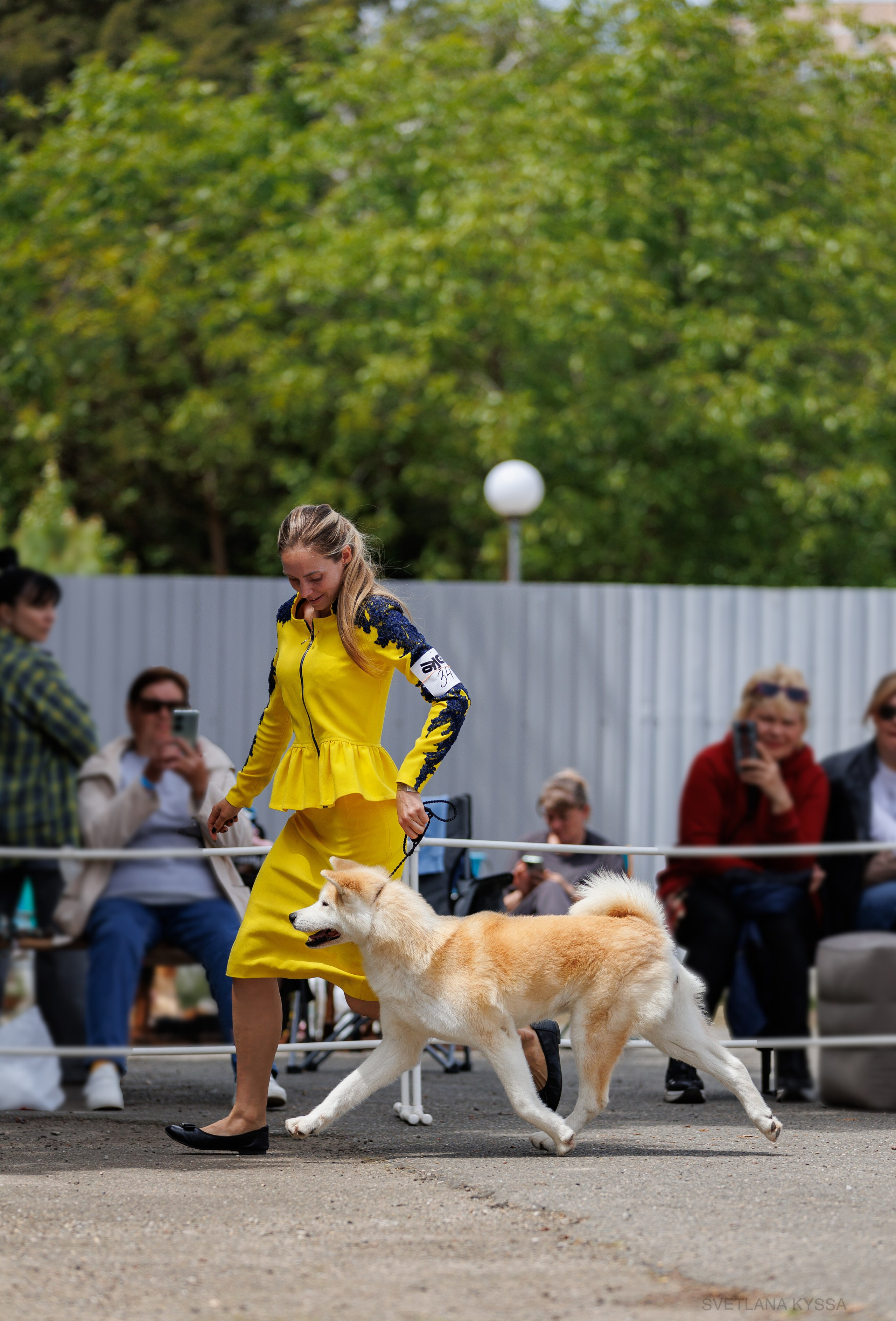 Фото с выставки собак. Фотограф — анималист Светлана Кысса|фотограф собак в Краснодаре и Нижнем Новгороде
