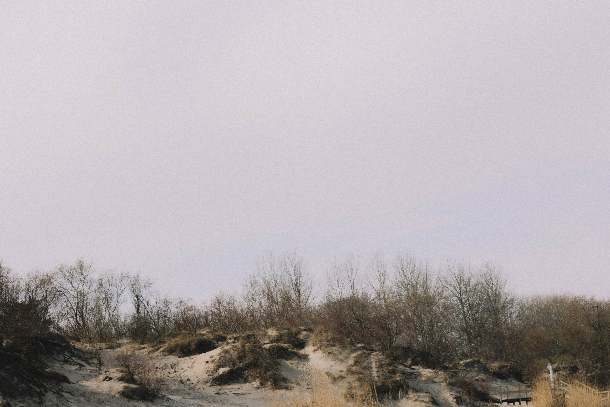 Ветер Балтики. Фотография о важном