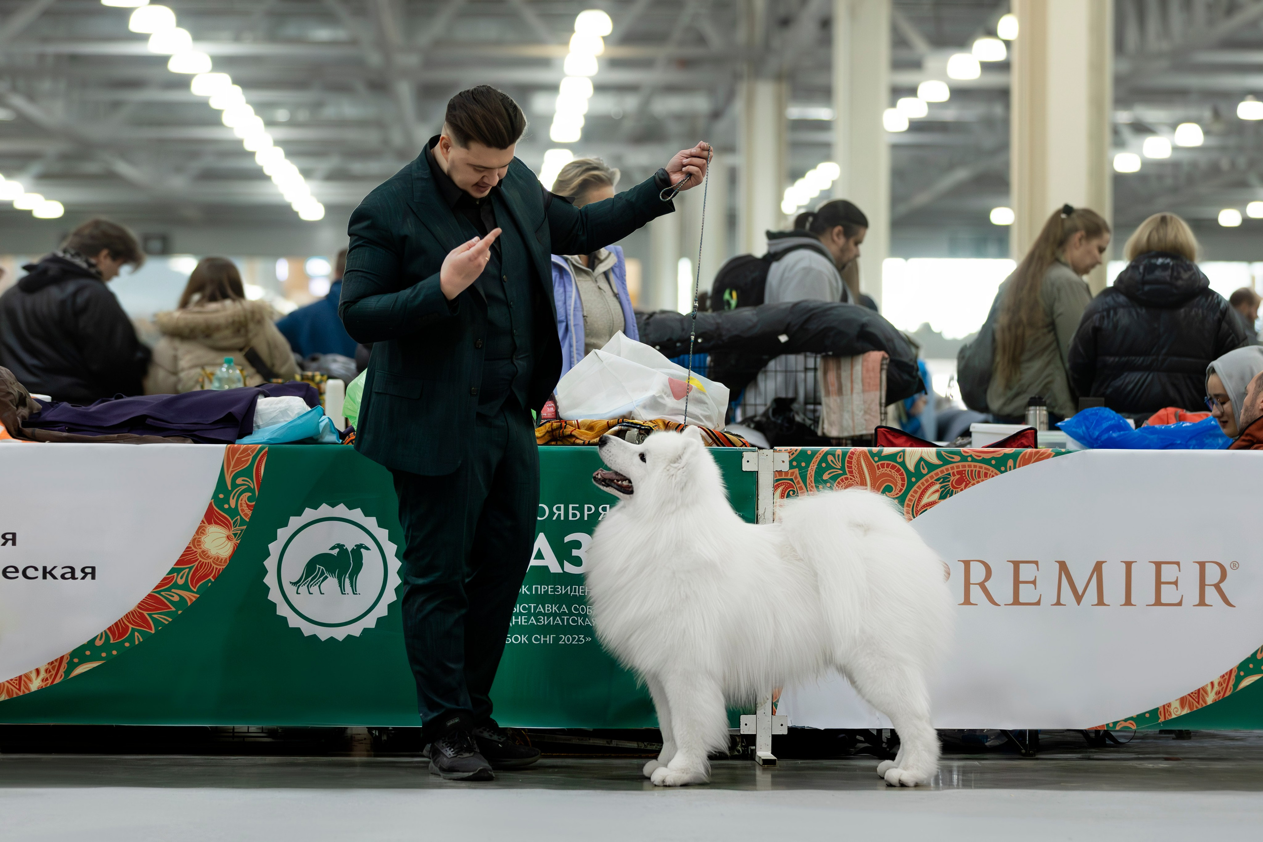Выставки. Фотограф анималист в Москве Майорова Евгения