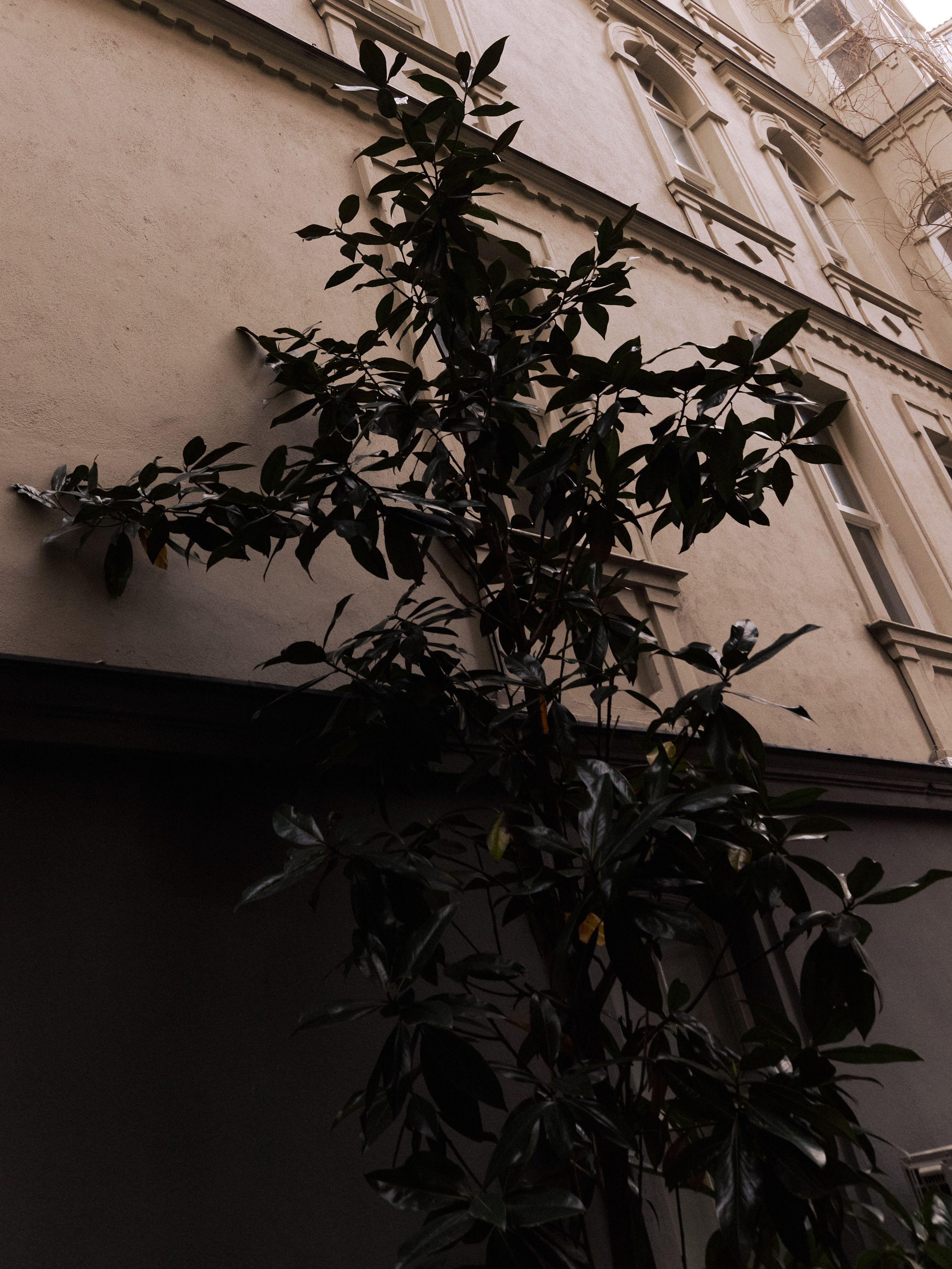 Диптих. Jorgis — фотограф в Хургаде / обучение фотографии