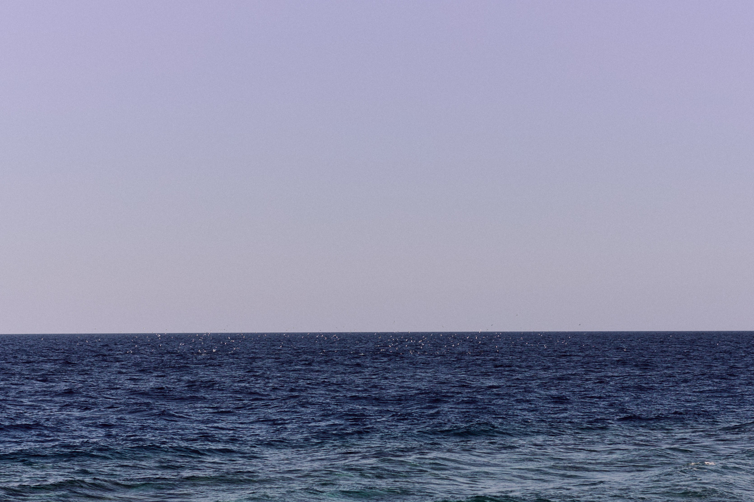 Другое 3. Jorgis Talè — photographer, kind person, teacher of arts and other mag