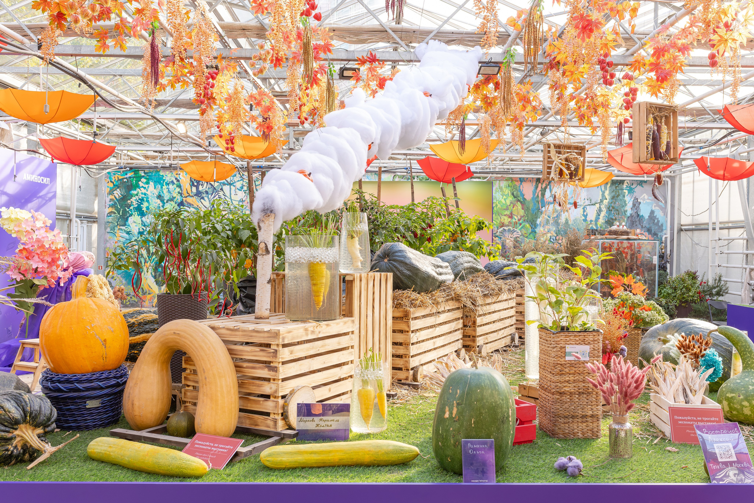 Овощи-гиганты. Александра Куликова фотограф, Москва