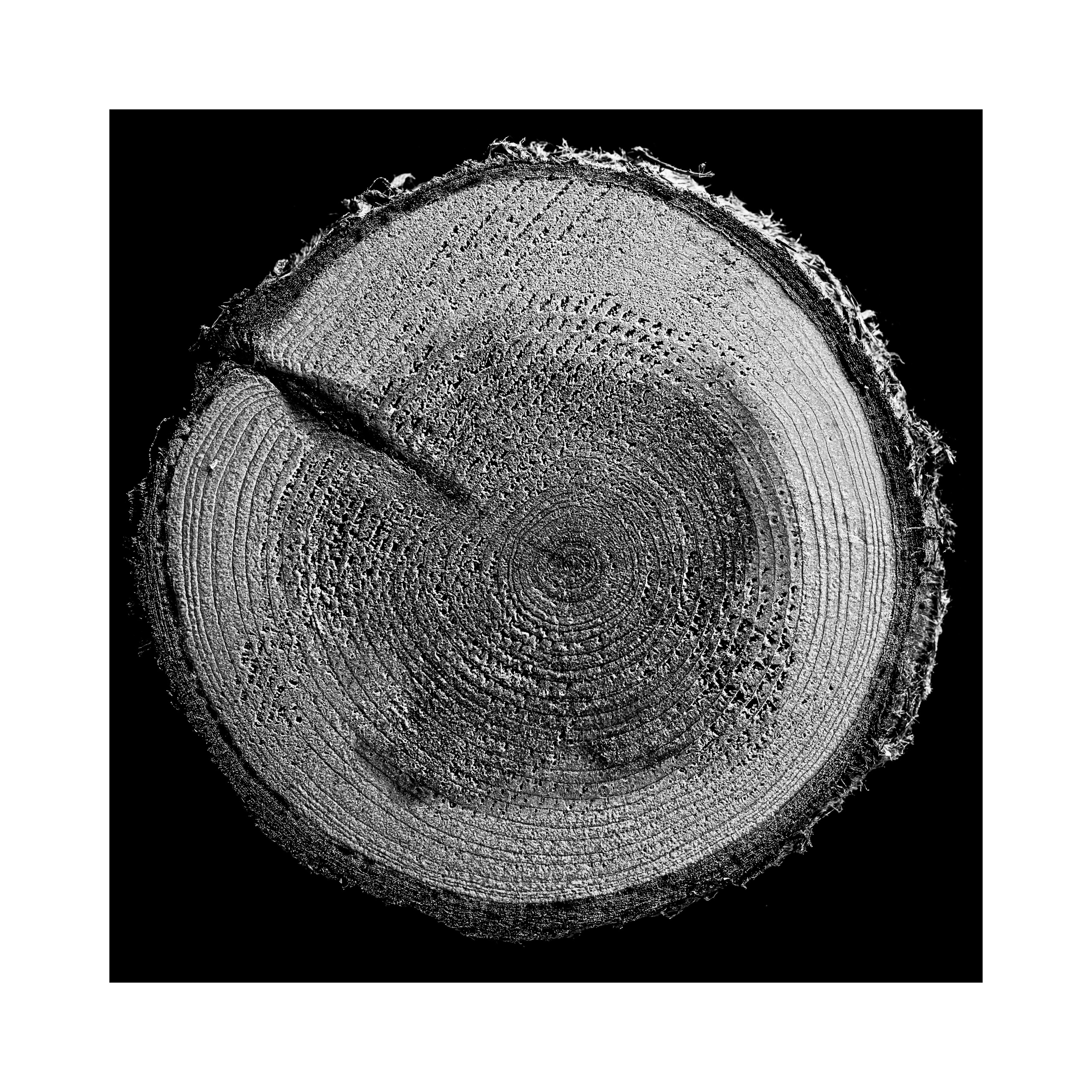 Фотопроект «Круги жизни». Портретный фотограф в Челябинске Катерина Руди