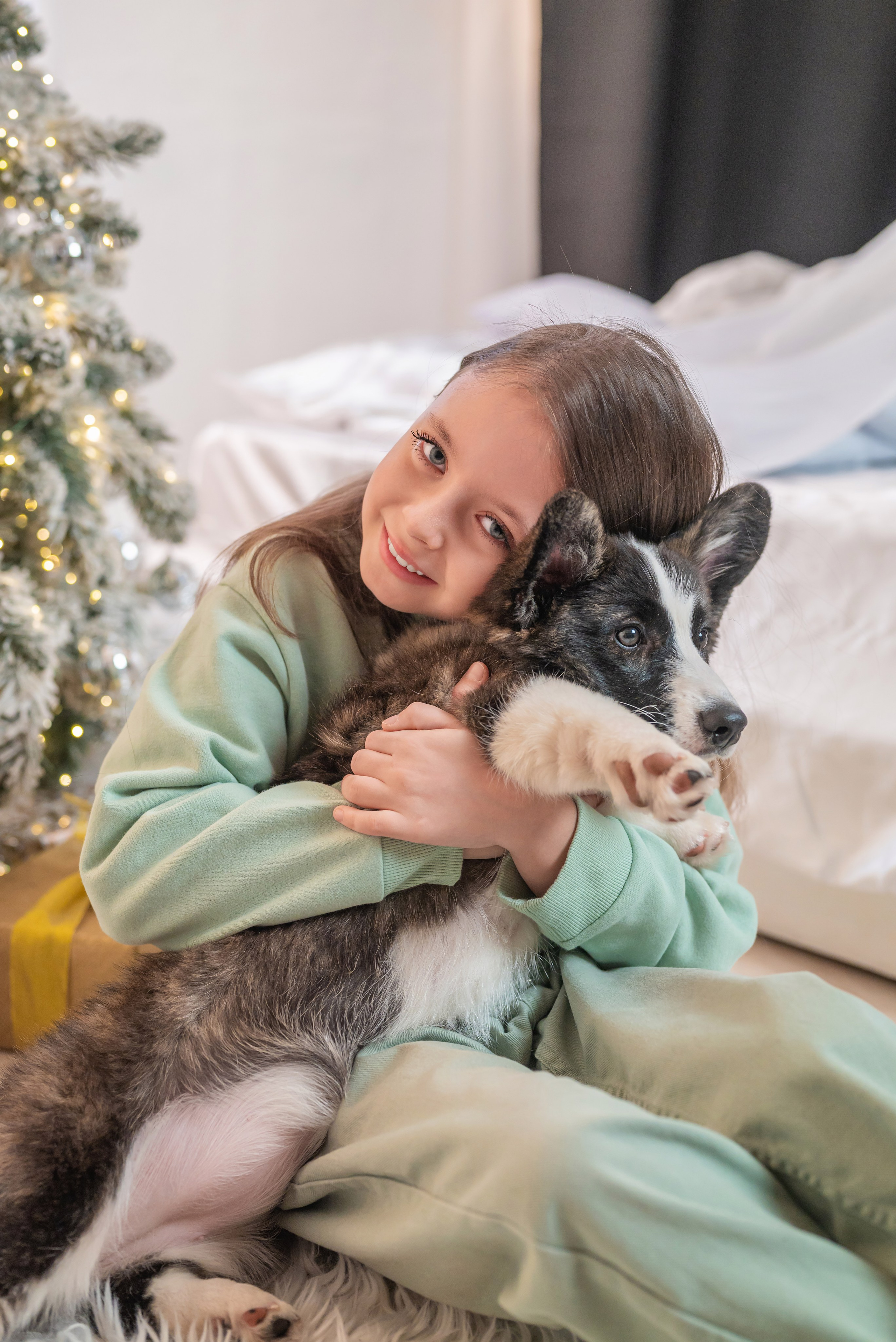 Фотопроект с корги. Фотограф в городе Салават