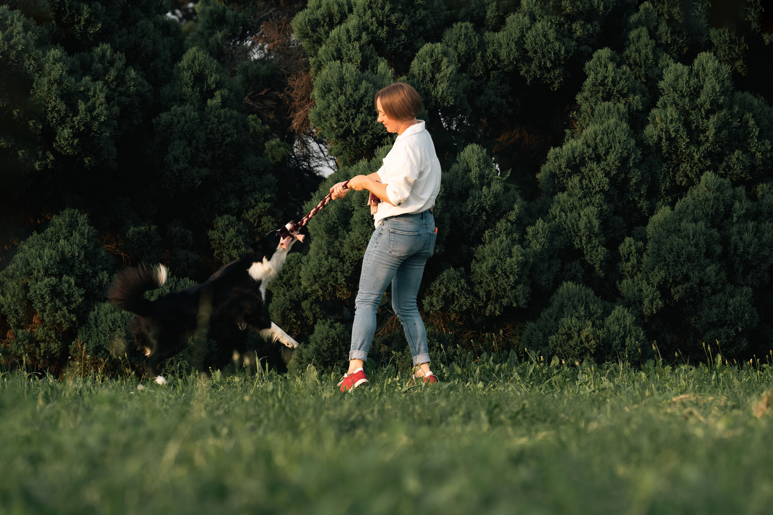 Белград, Калемегдан. Таня и Шегги. Фотограф анималист