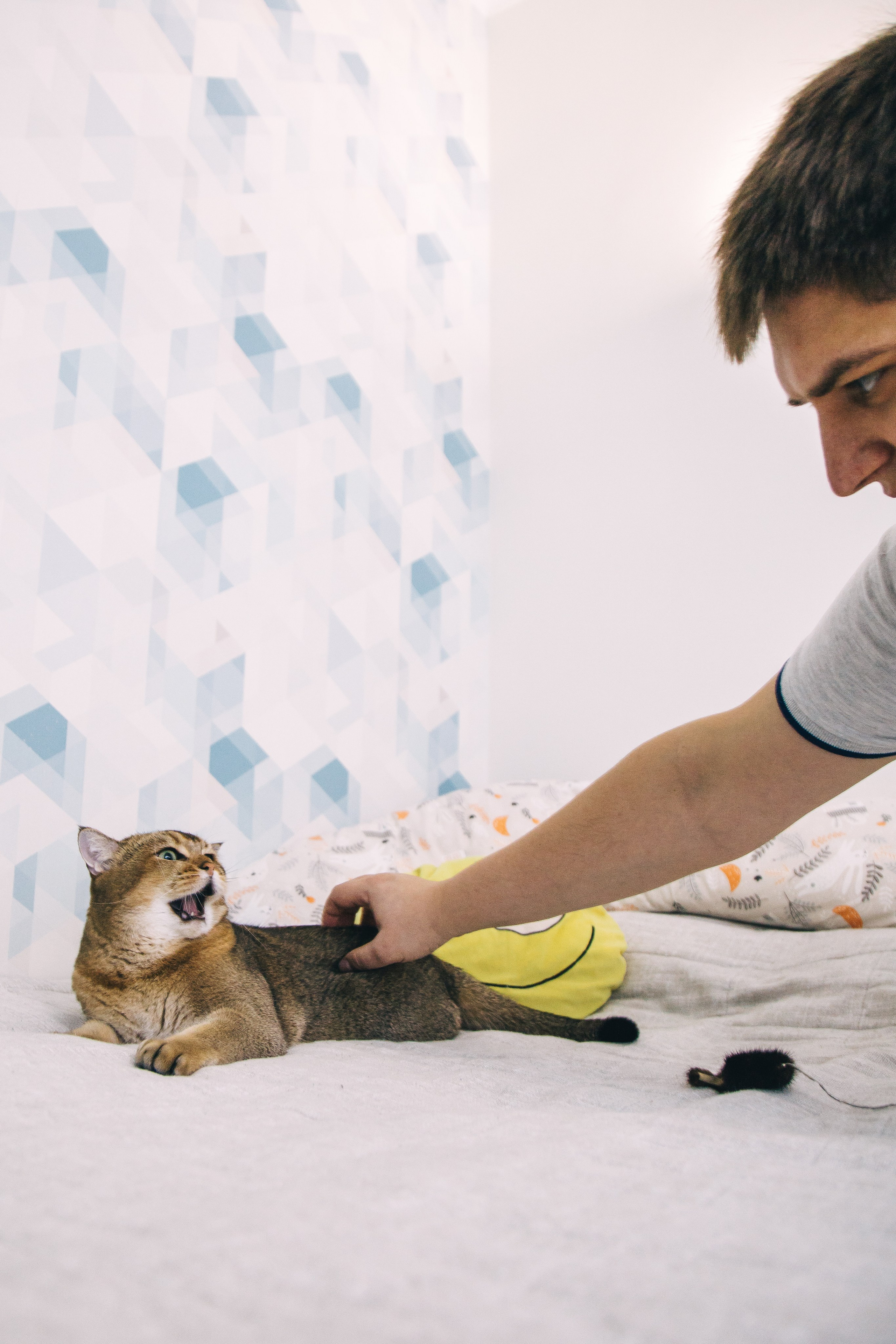 Домашняя :). Репортажный и семейный фотограф в Москве