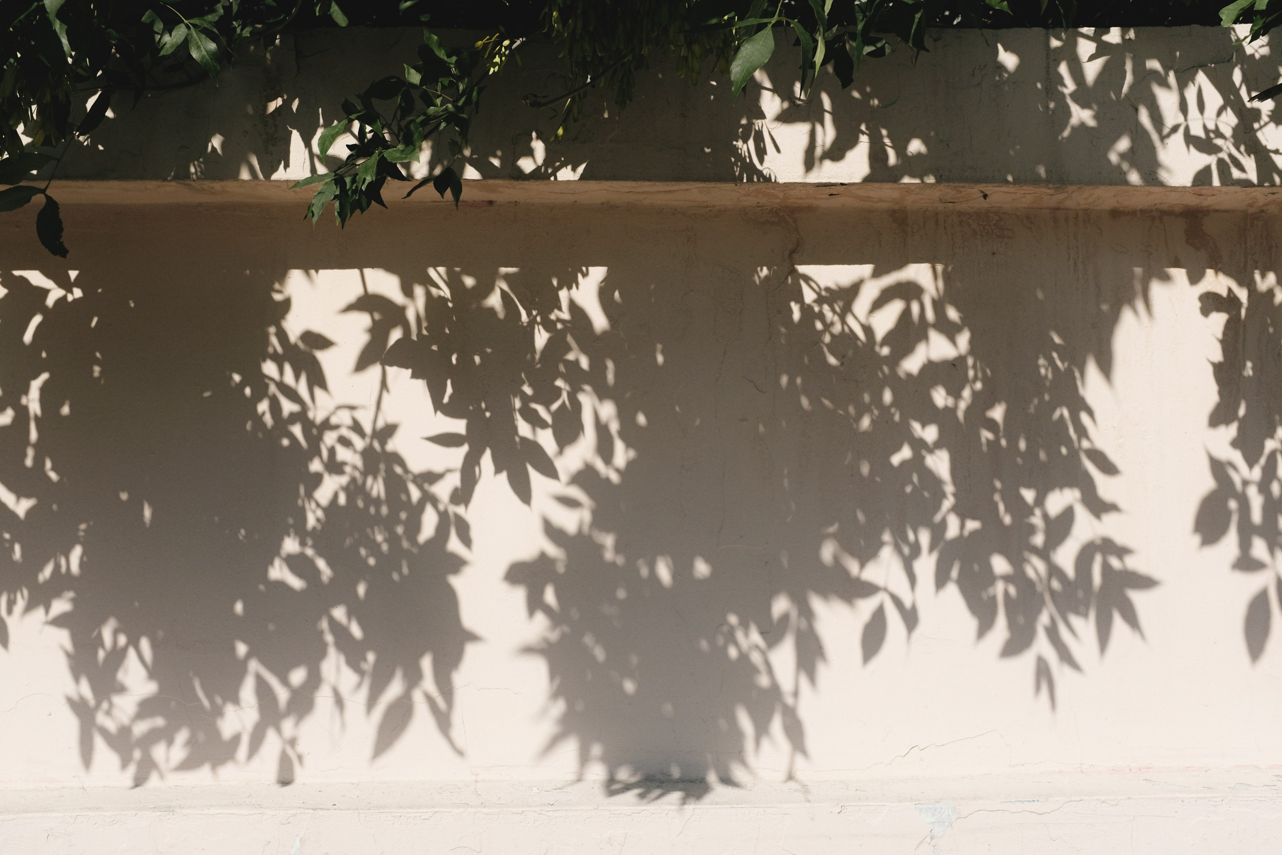 Фотопрогулка "шагаю и снимаю" по Москве