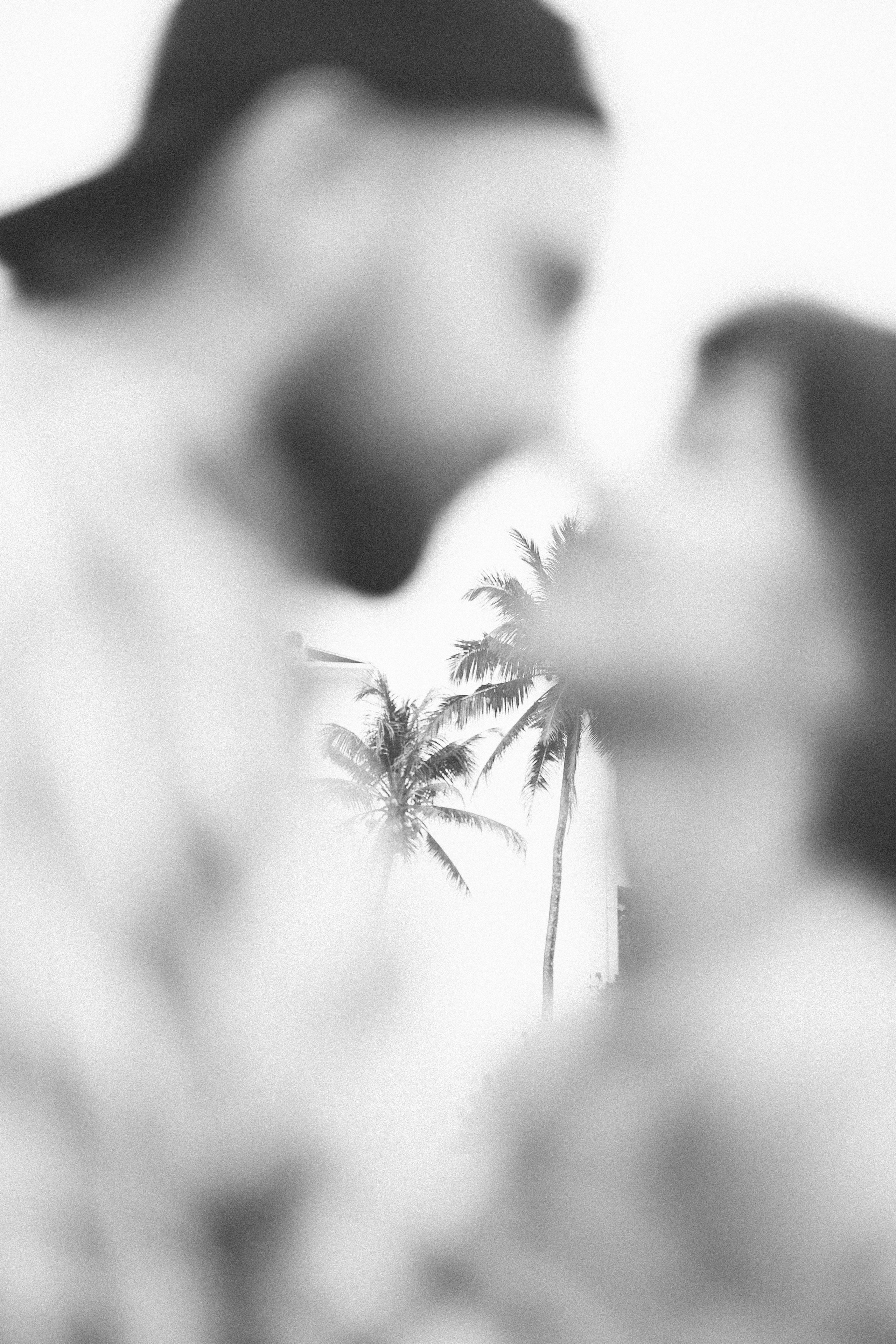 Коконат пляж. Фотограф на Шри-Ланке