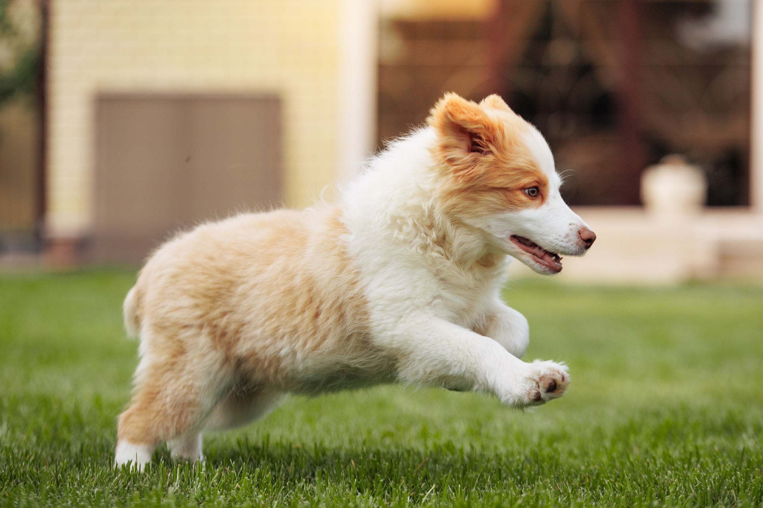 СОлнечные. О нас