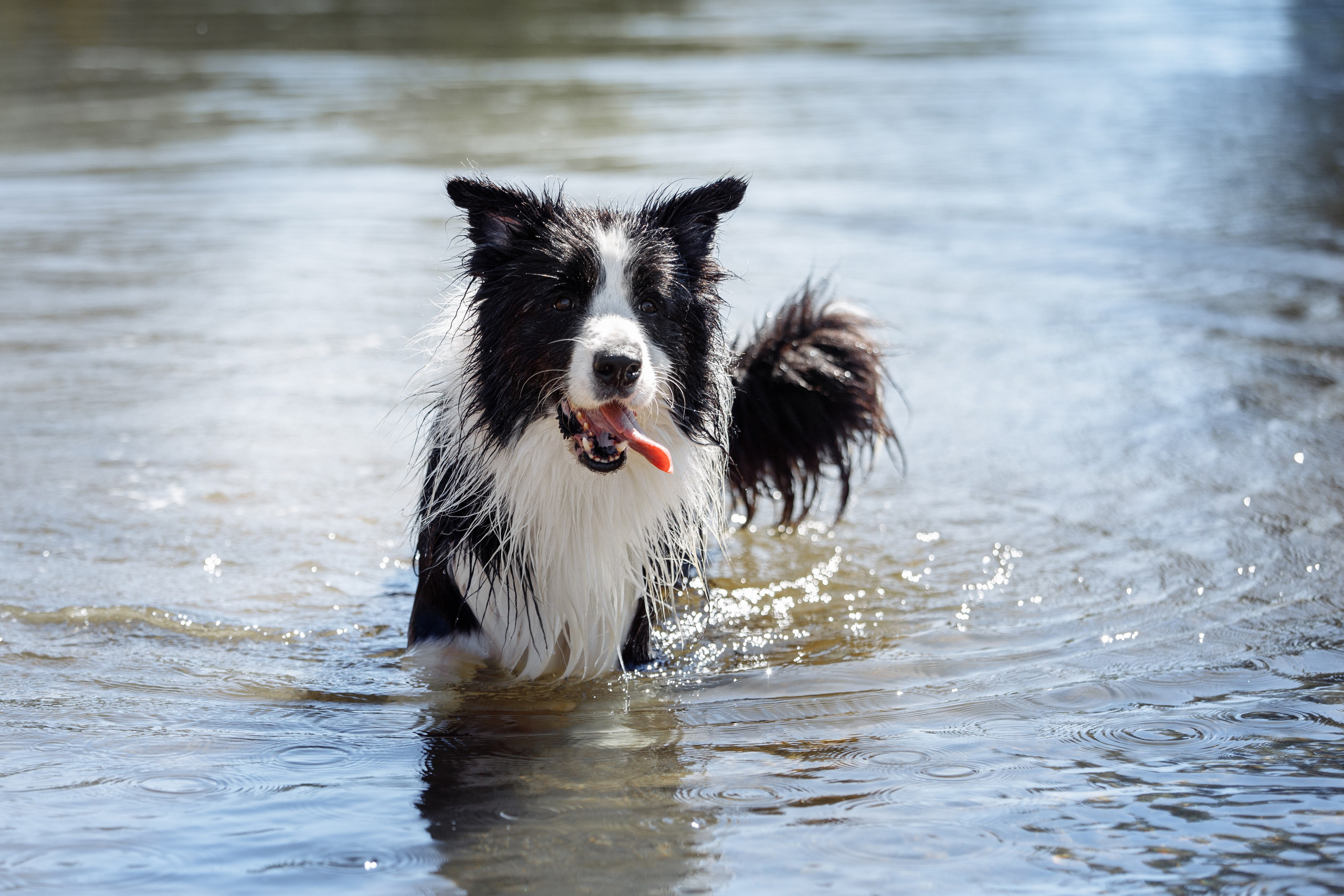 Водяные в Новотроицке. О нас