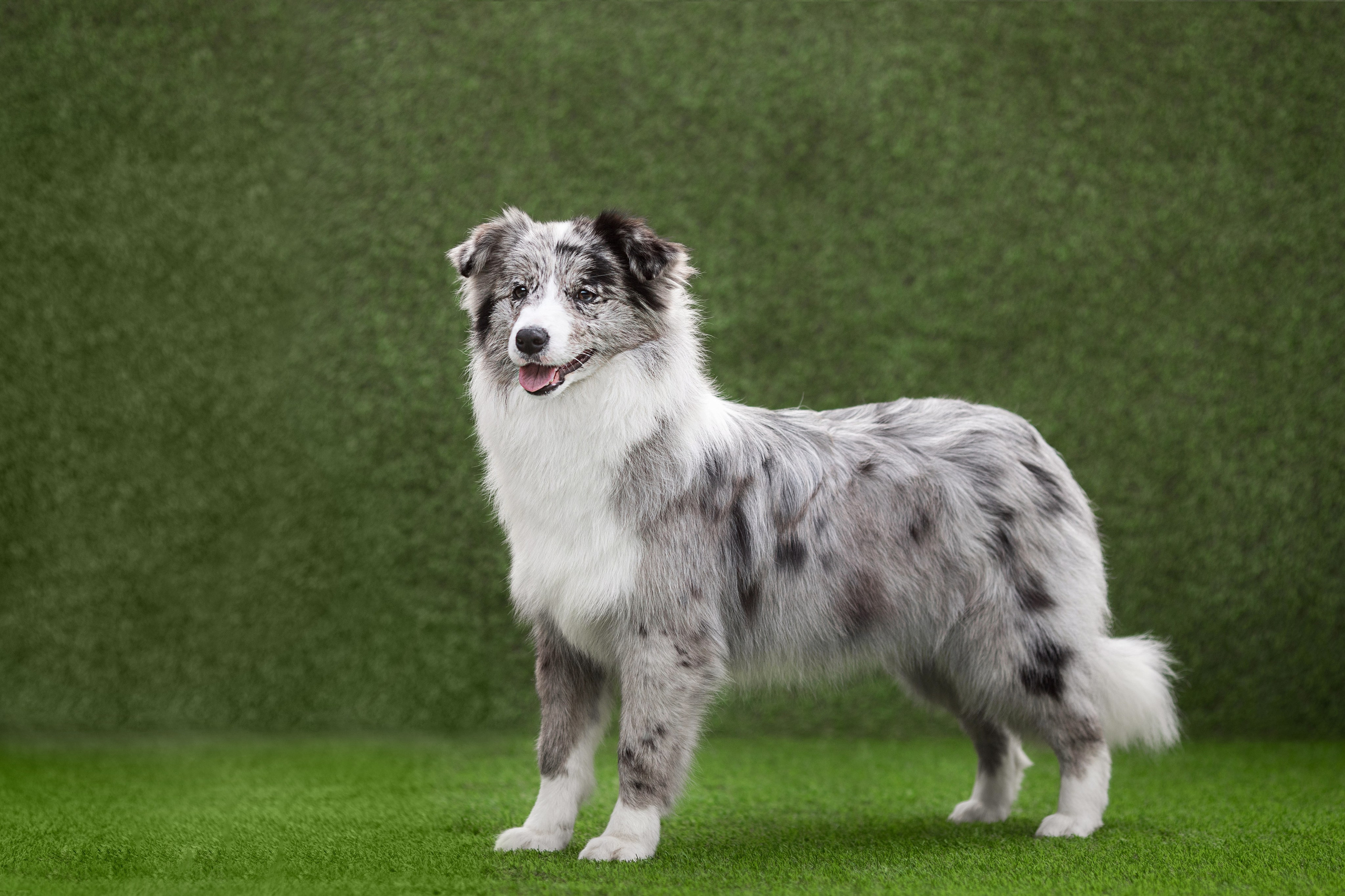 Роскошь в ростошах. О нас