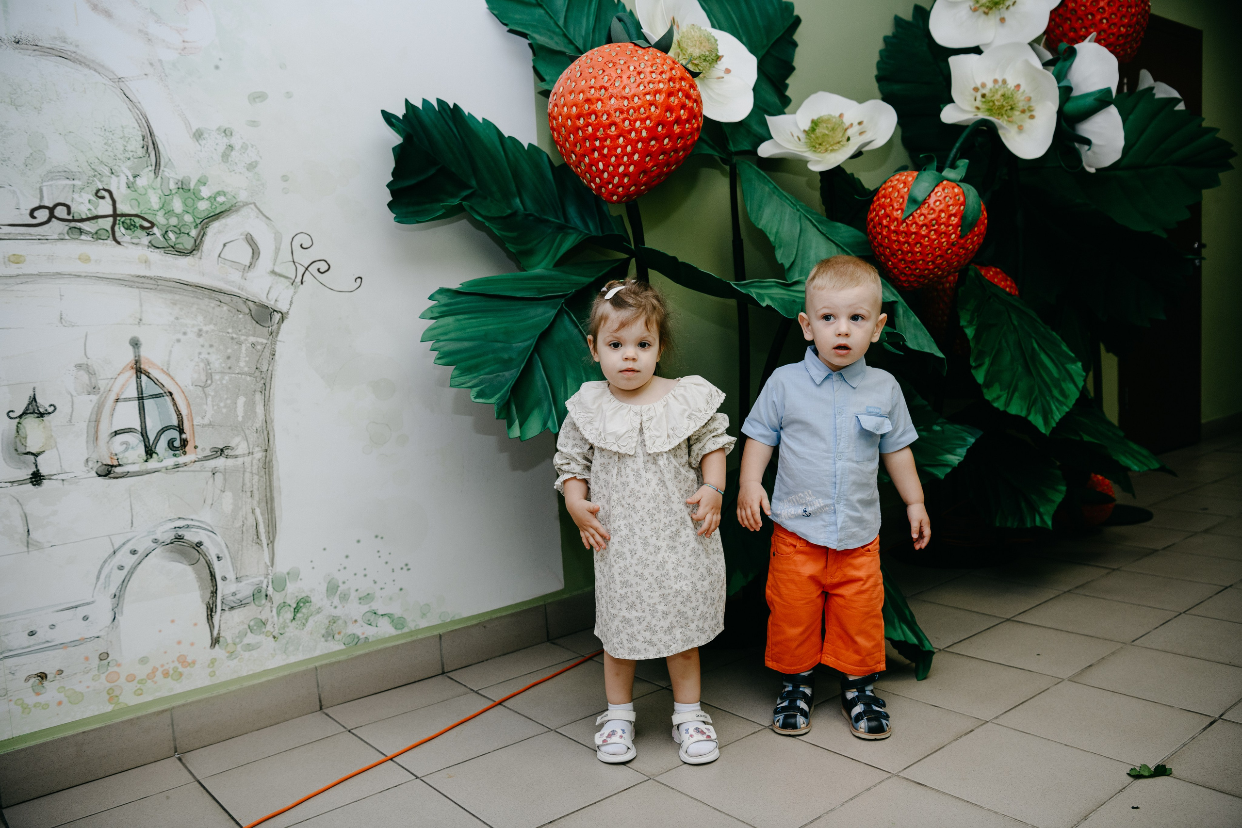 Волшебная страна. Фотограф на выписку из роддома в Москве и МО