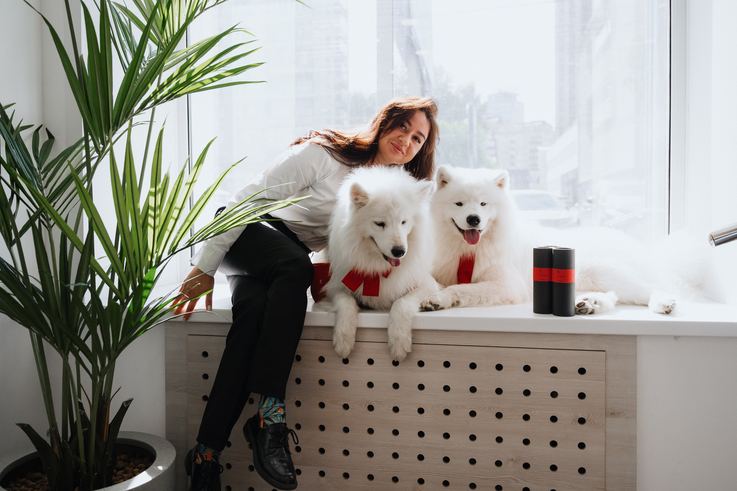 Фотосессия с самоедами