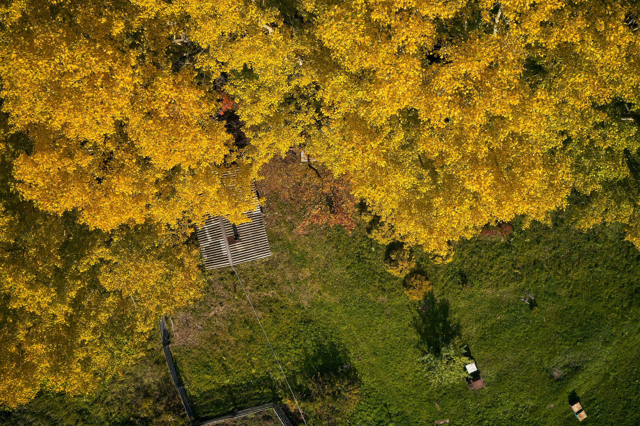 Съемка в полете. DMITRY MOISEENKO — фотограф, художник, топ-стилист