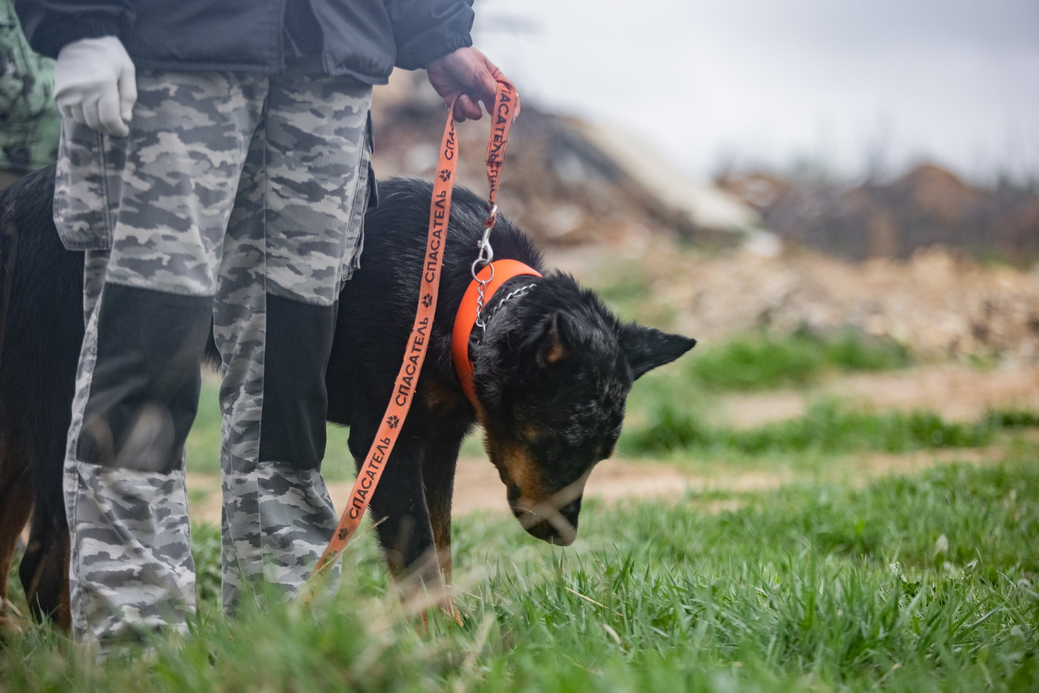 ПСС Соревнования в Нижегородской области г. Чкаловск 2023-04-28. Фотограф Ирина Астор