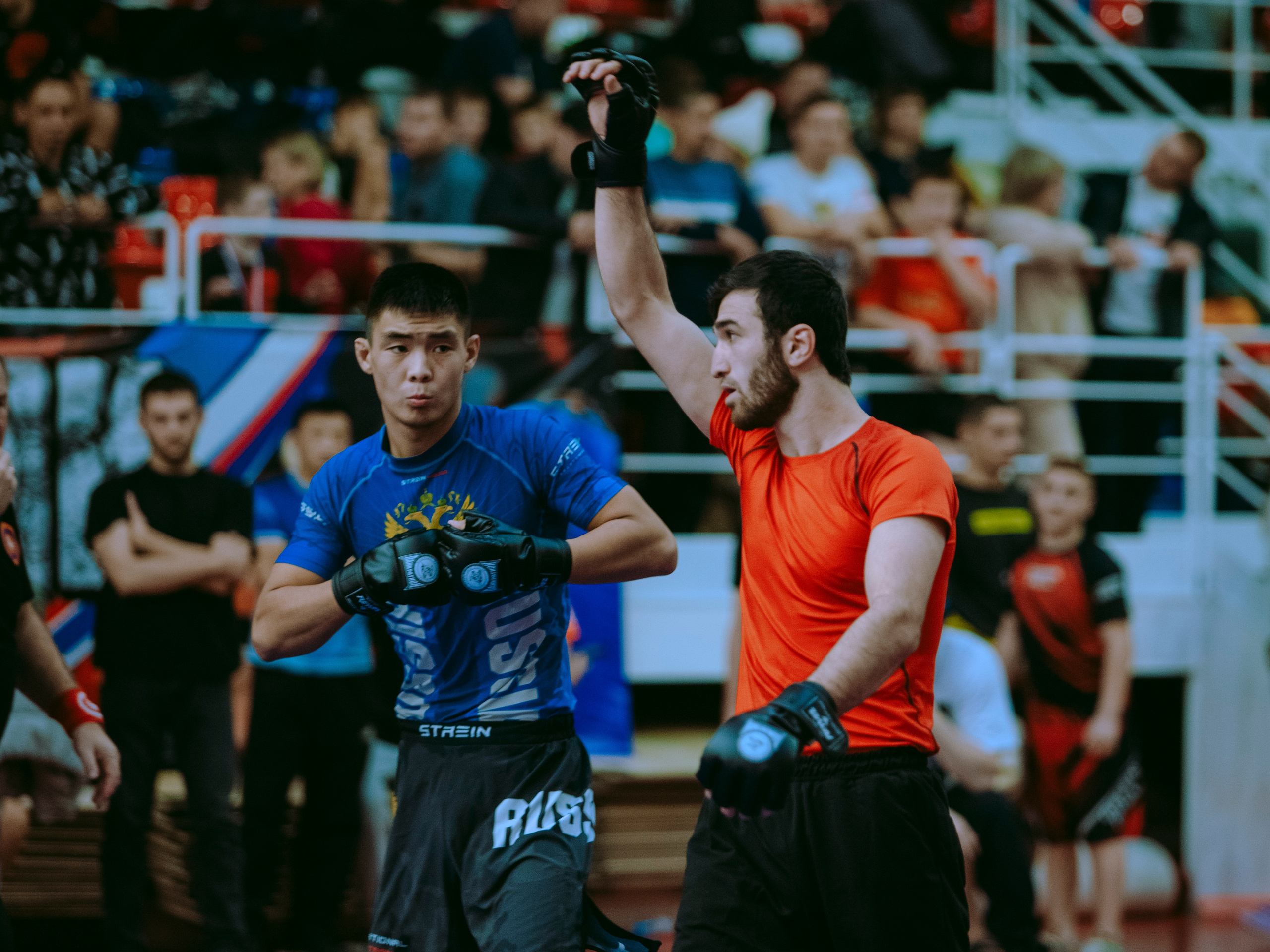 Кубок России по спортивной борьбе панкратион `23. Портретный фотограф в Москве Дарья Цезария