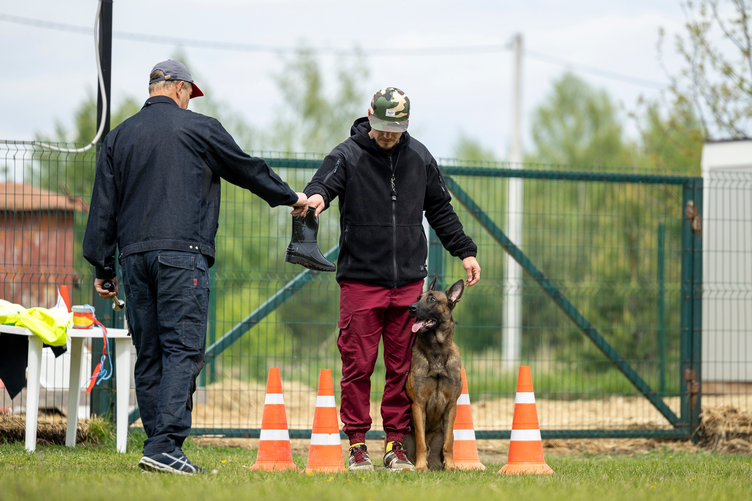 Испытания по мондьорингу в Нижнем Новгороде. Фотограф-анималист Анна Маринич