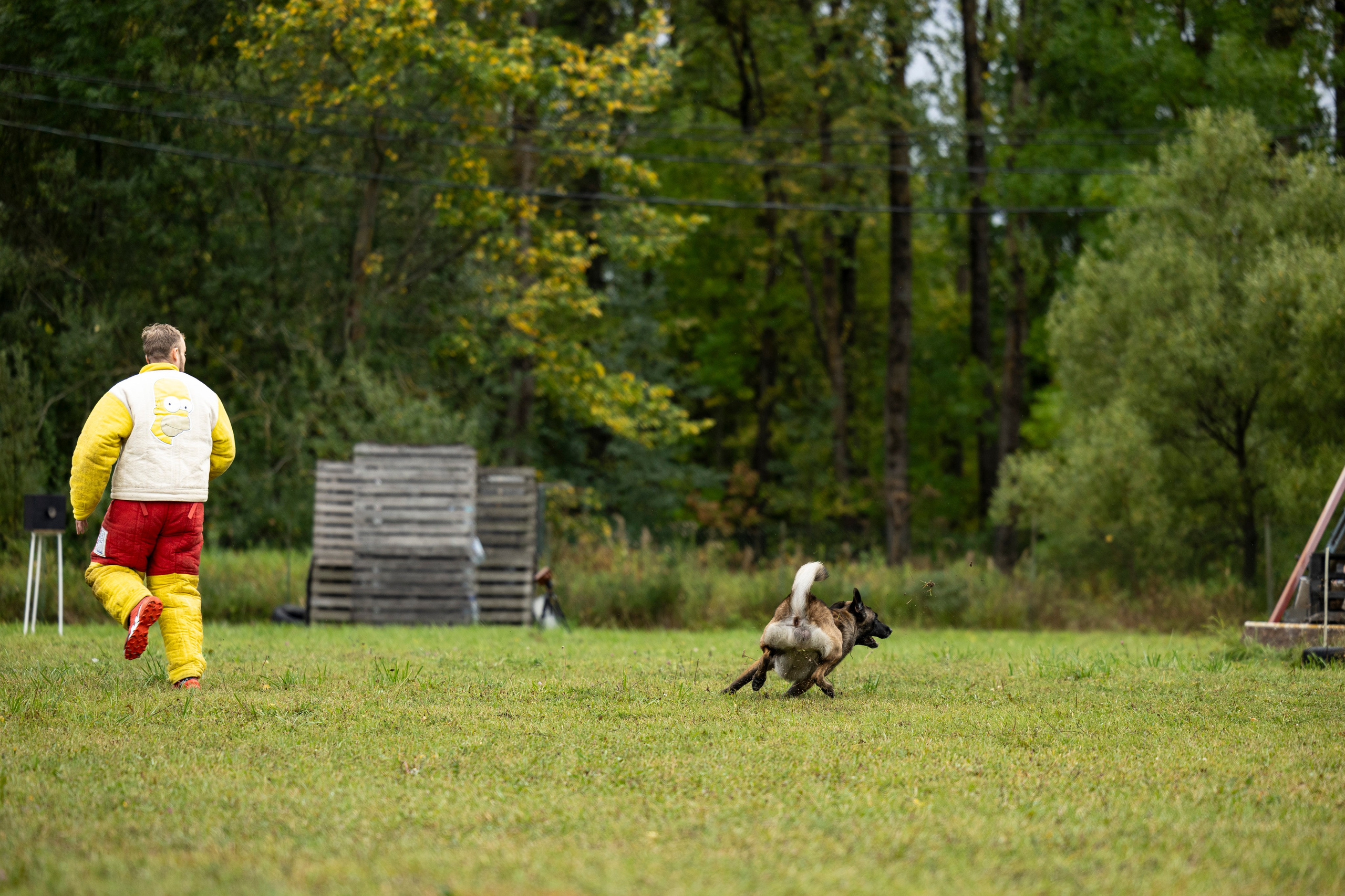 Испытания по Мондьорингу г. Пушкин. Фотограф-анималист Анна Маринич