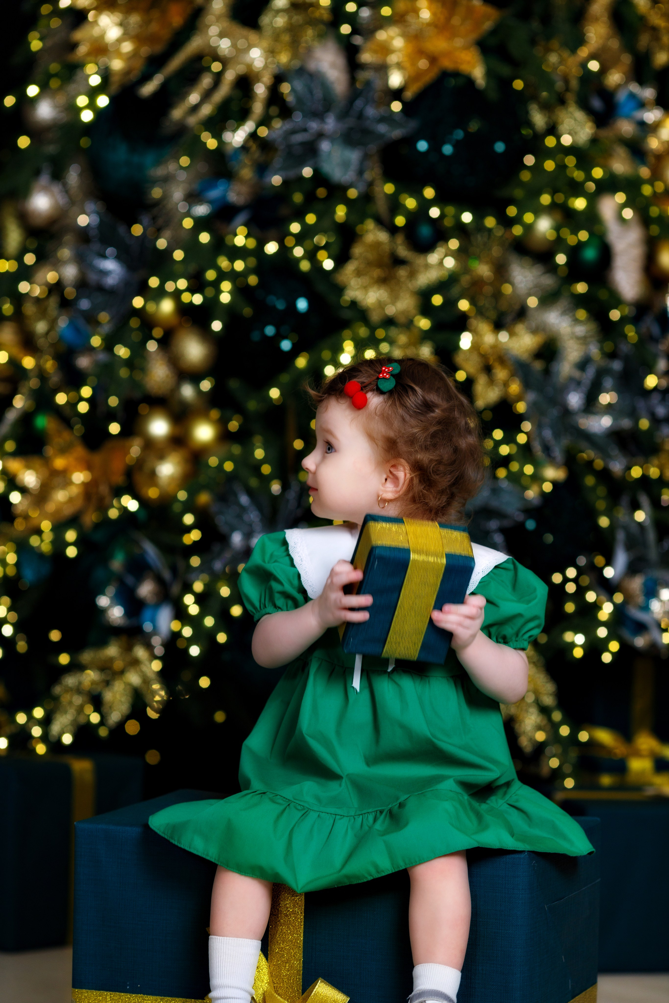 Новогодняя фотосессия. Семейный, свадебный и детский фотограф в Новосибирске Ольга Хидченко