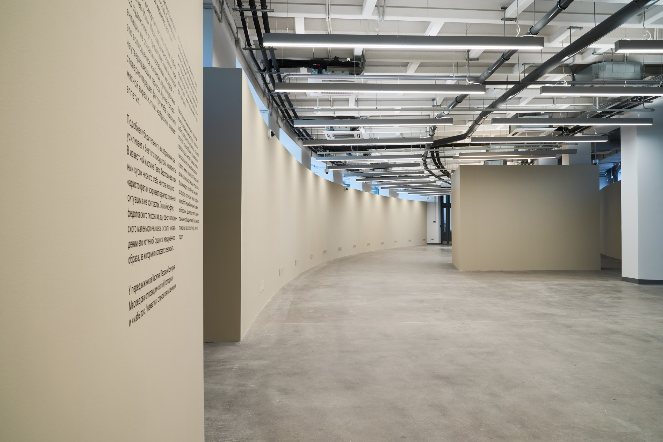 Открытие филиала Третьяковской Галереи. Фотограф Евгений Шаров