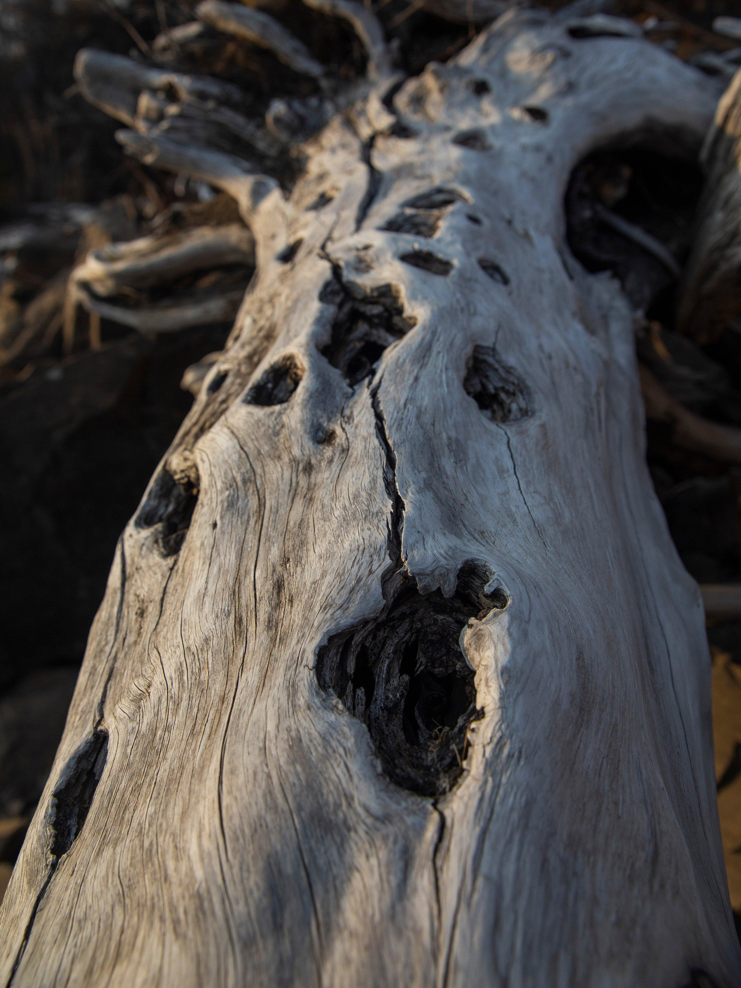 Елена Батова