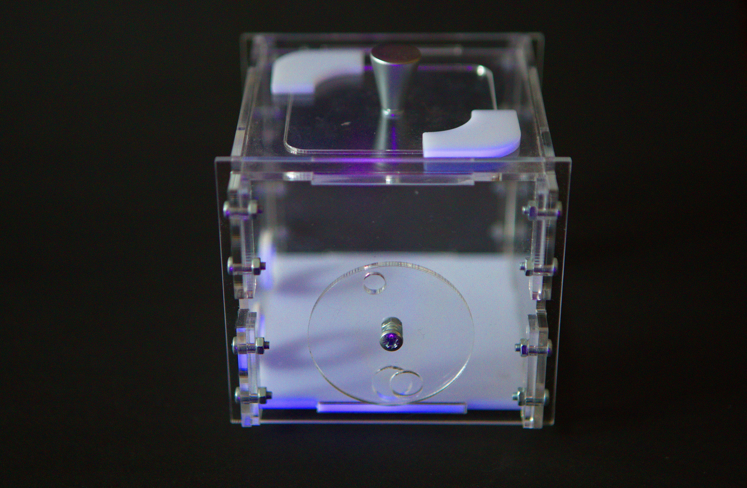 Василиса Моисеева