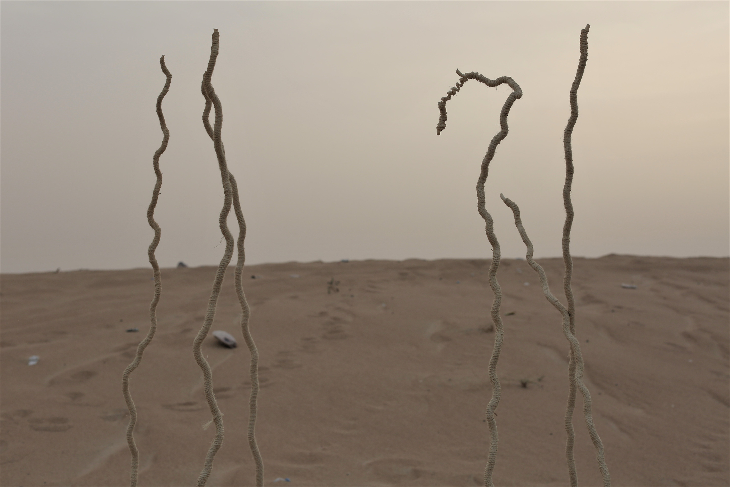 Выставка ''Черный ящик'' с 16 марта по 16 апреля 2021 года