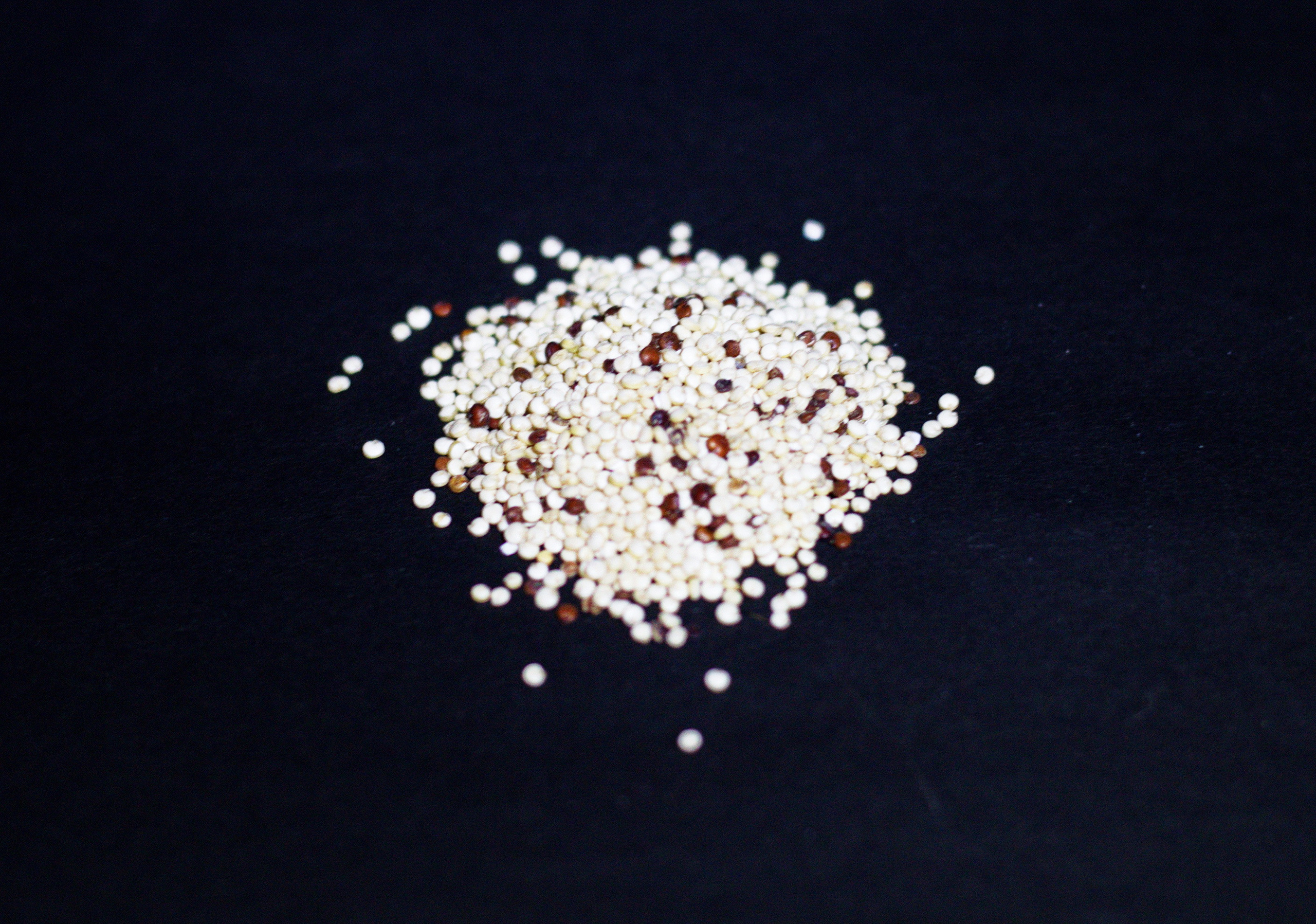 Василиса Моисеева