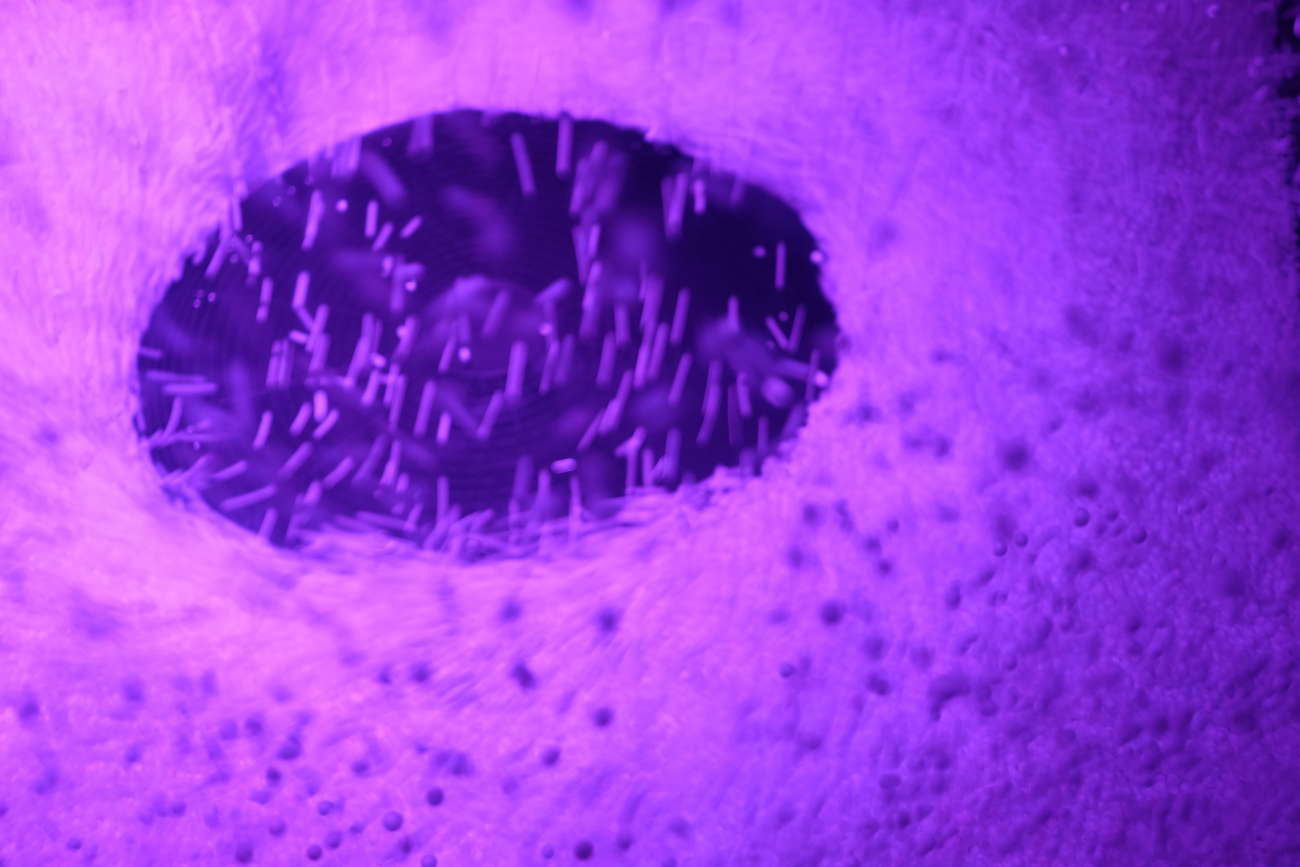 Выставка ''Черный ящик'' с 16 марта по 16 апреля 2021 года