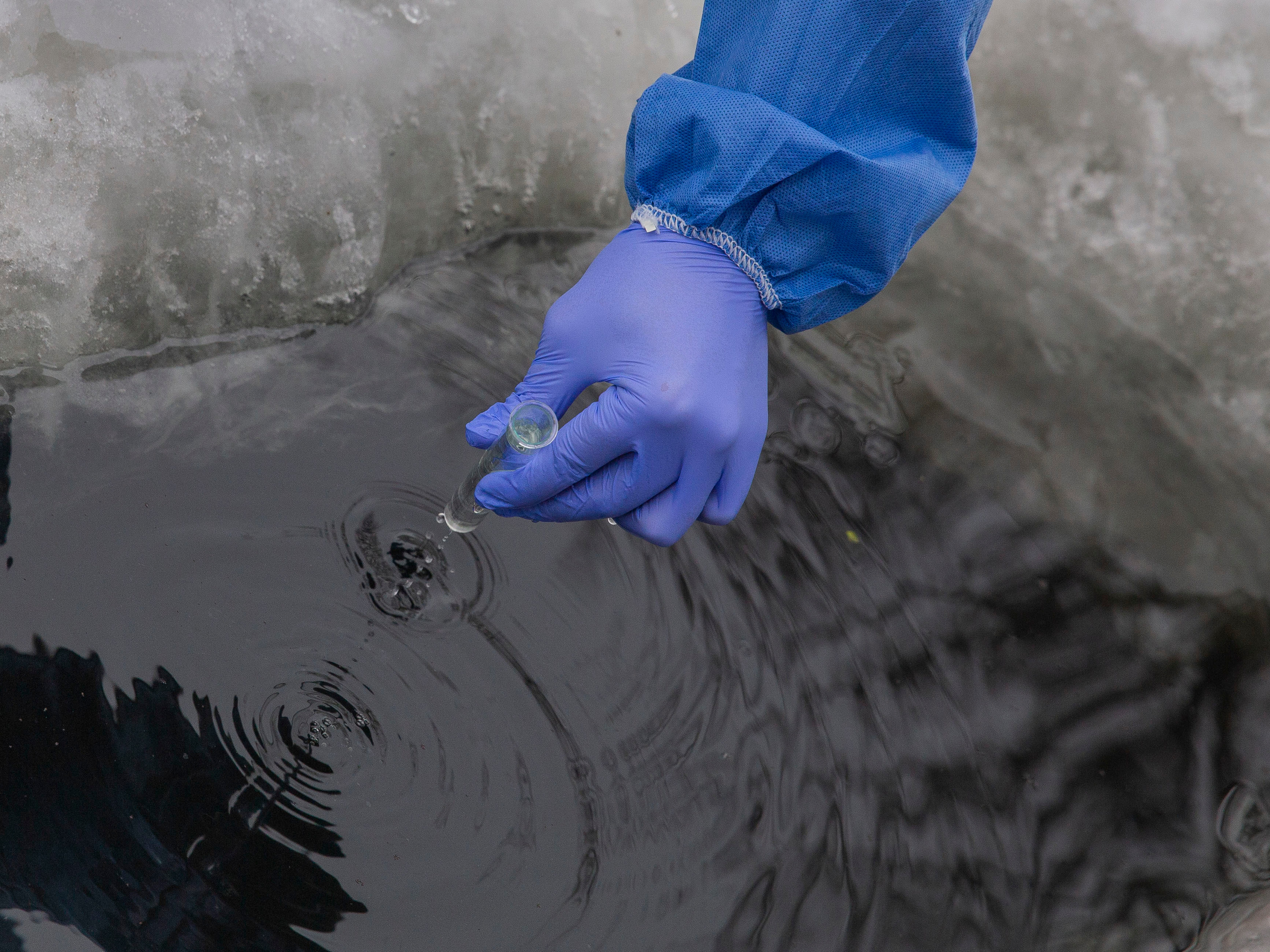 Елена Батова