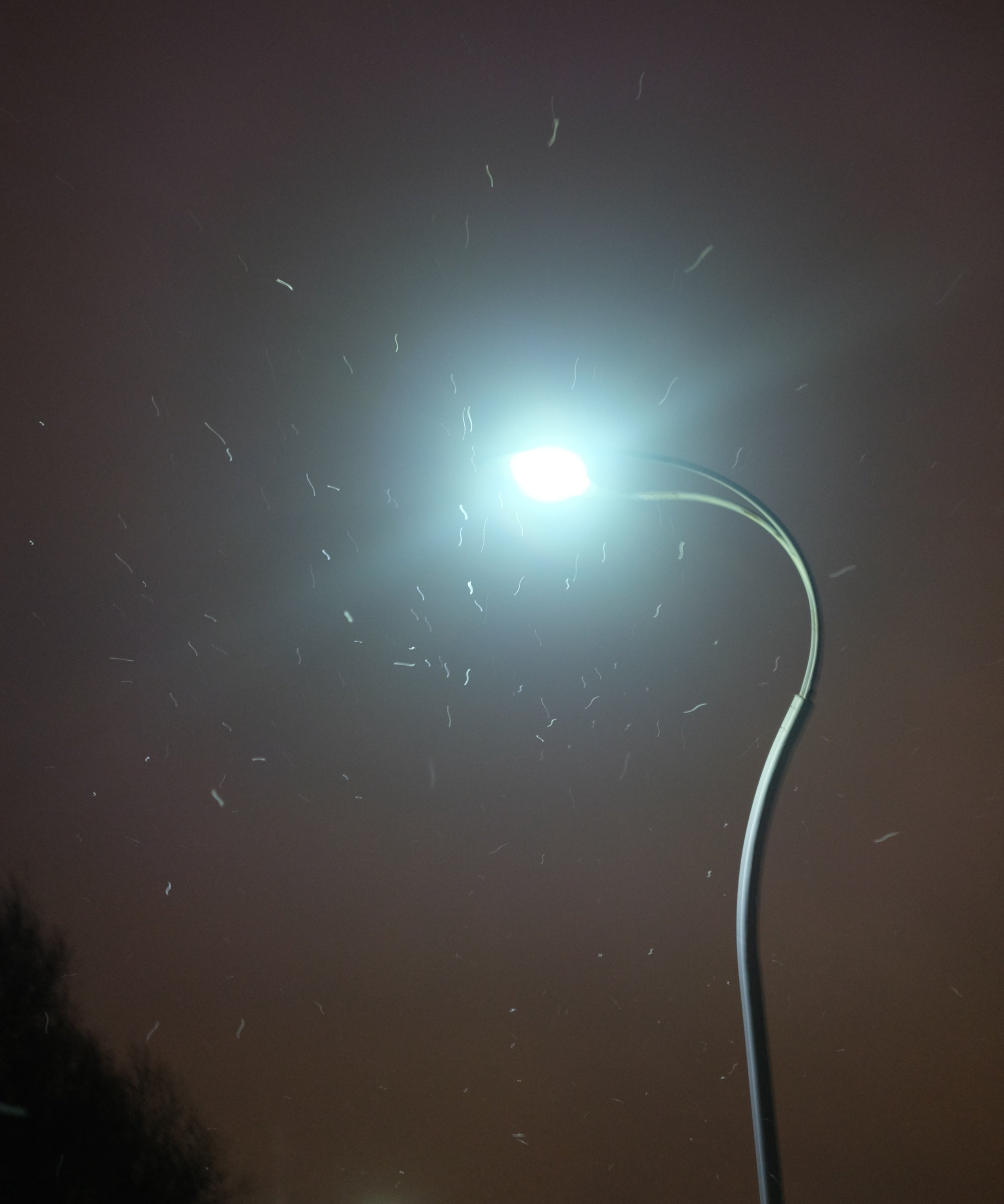 Выставка ''Черный ящик'' с 16 марта по 16 апреля 2021 года