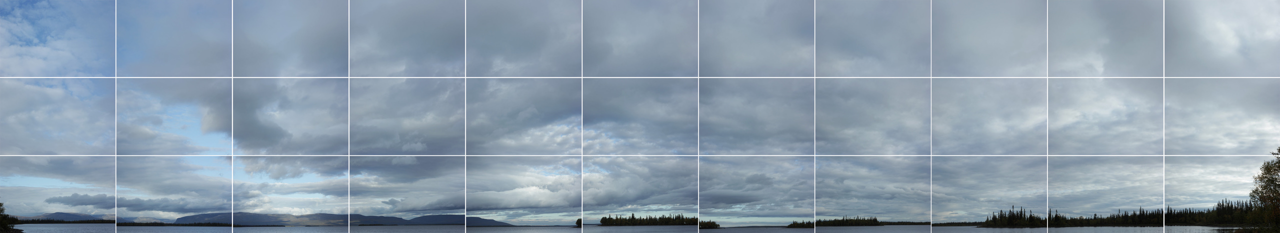 Арина Терехова