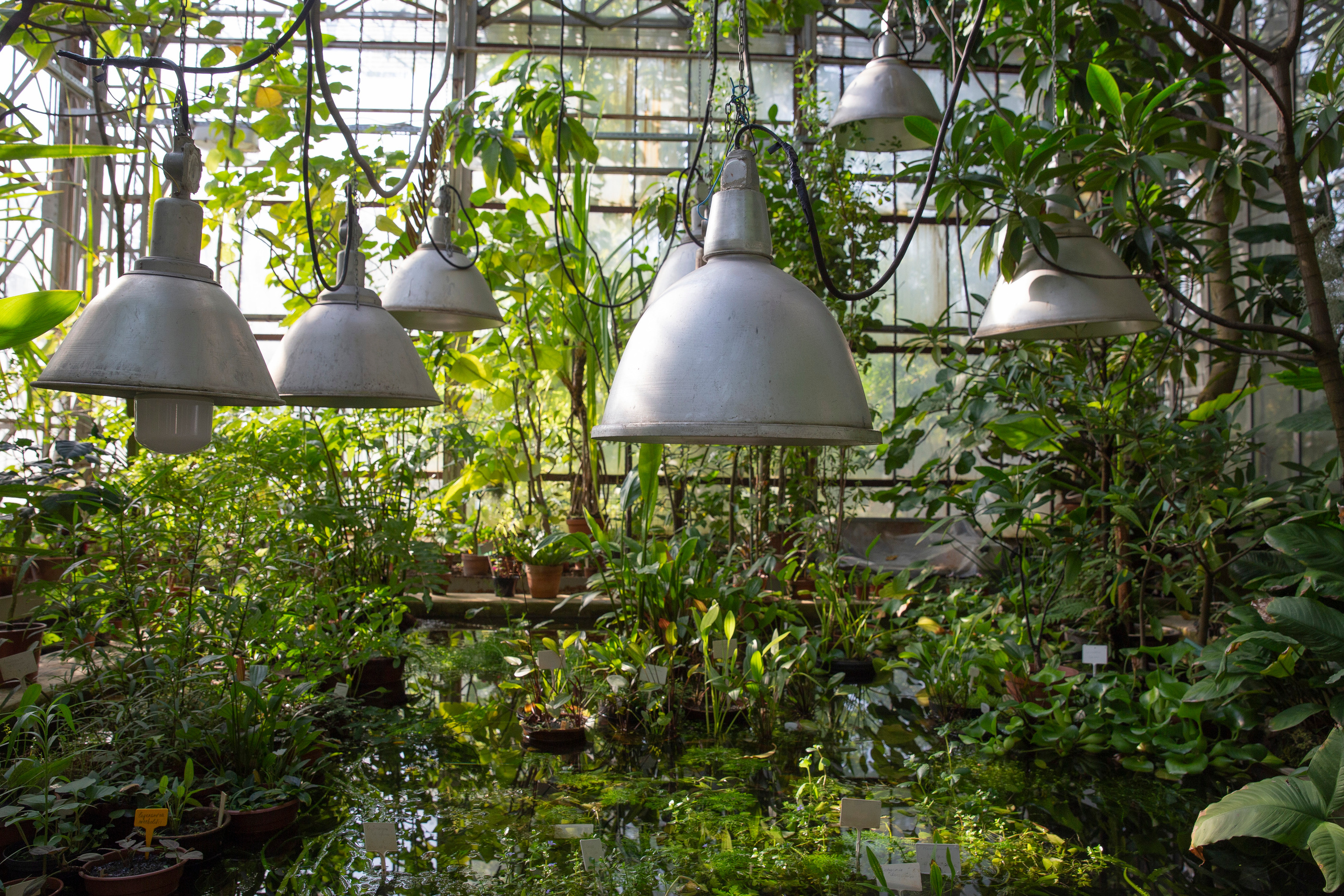 Елена Батова