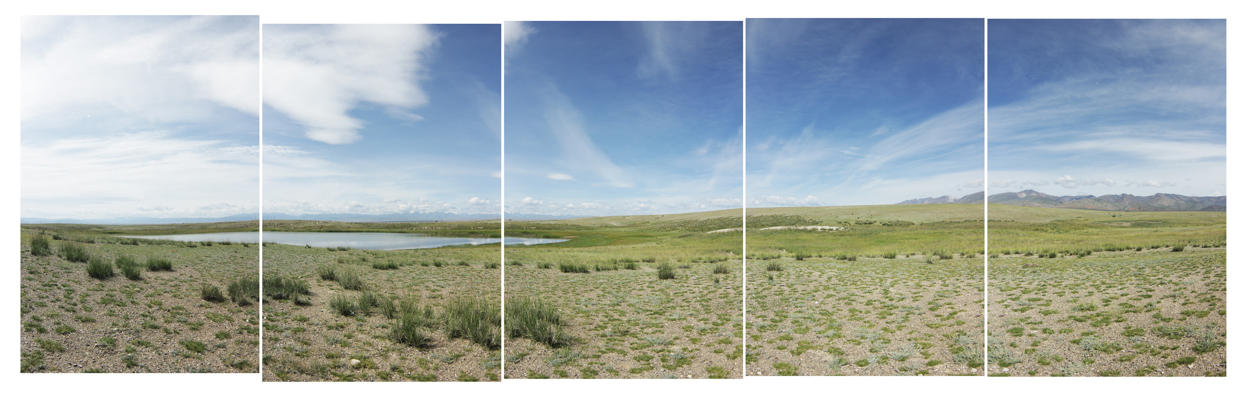 Арина Терехова