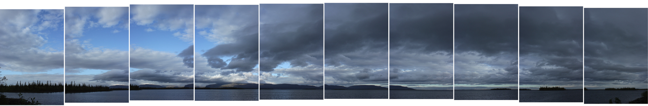 Арина Терехова