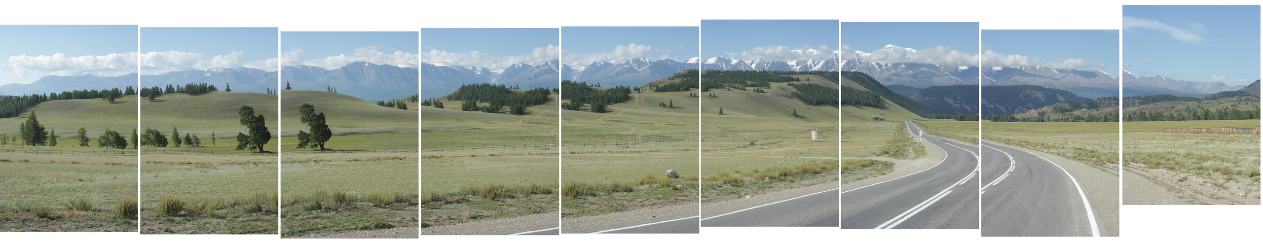 Арина Терехова