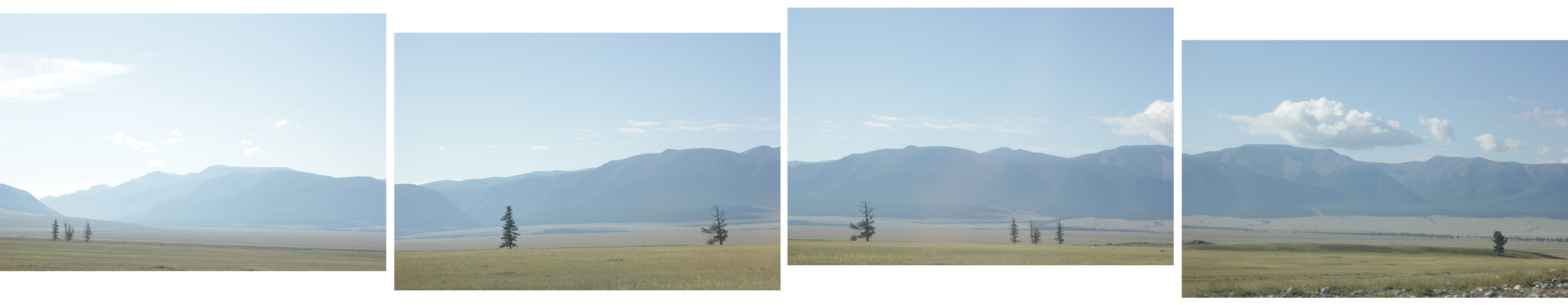 Арина Терехова