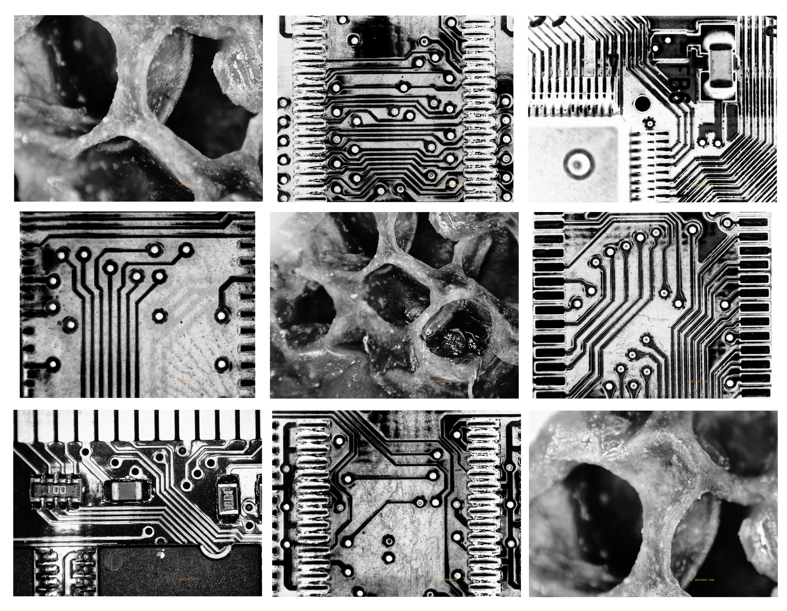 Елена Батова