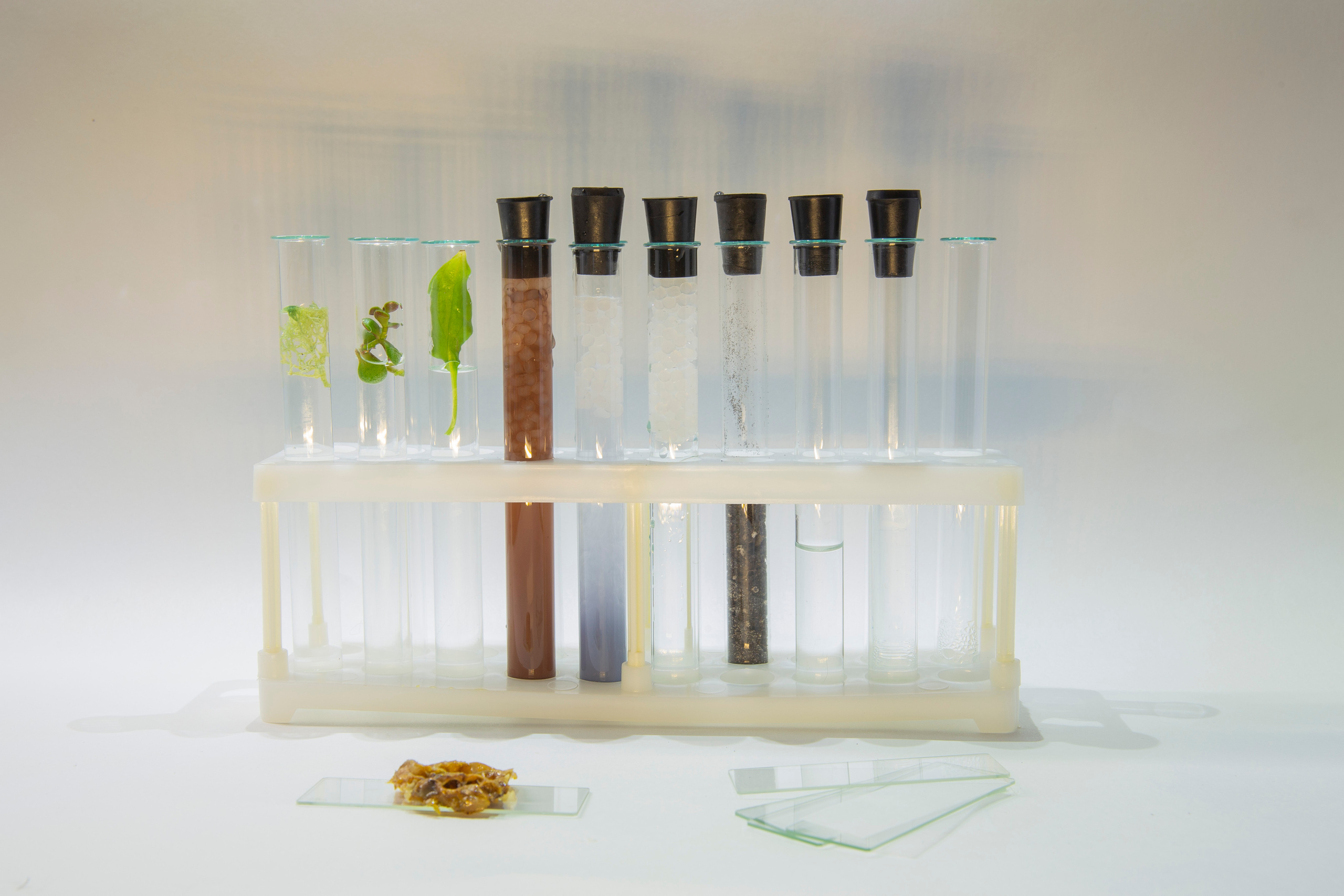 Елена Батова