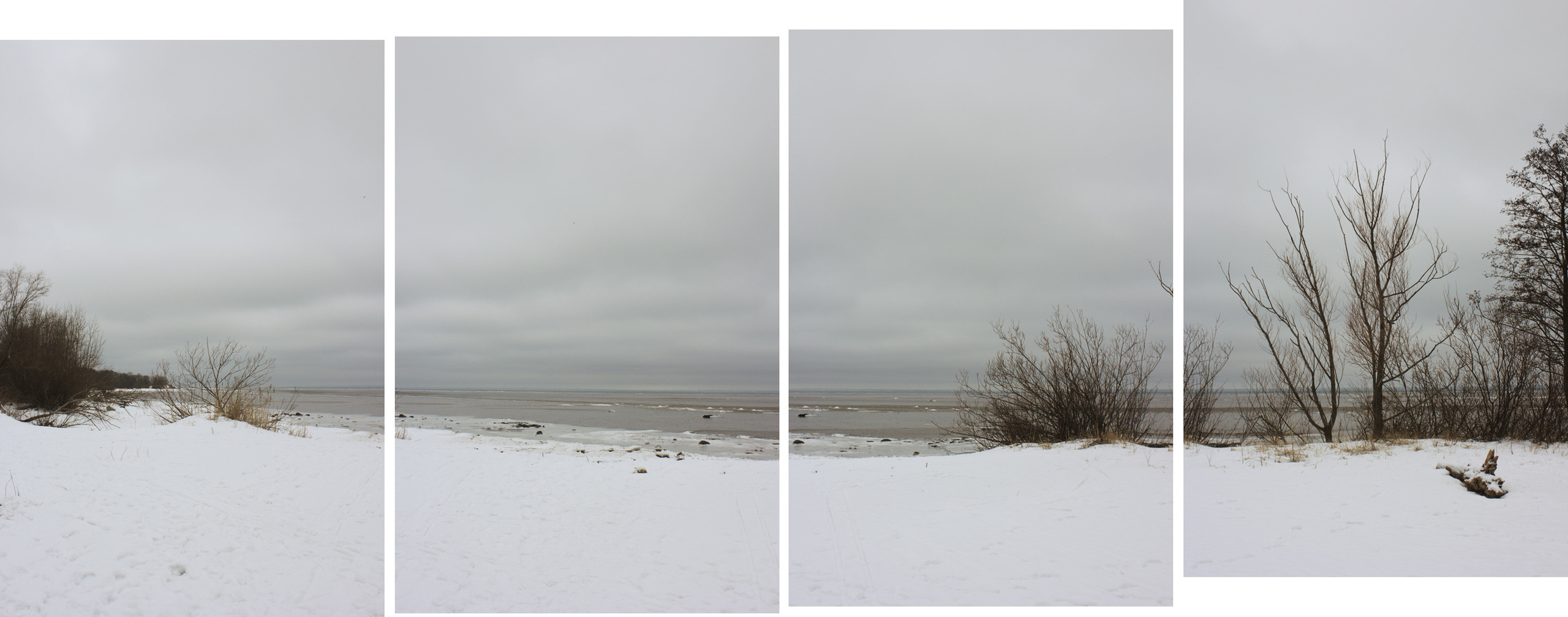 Арина Терехова