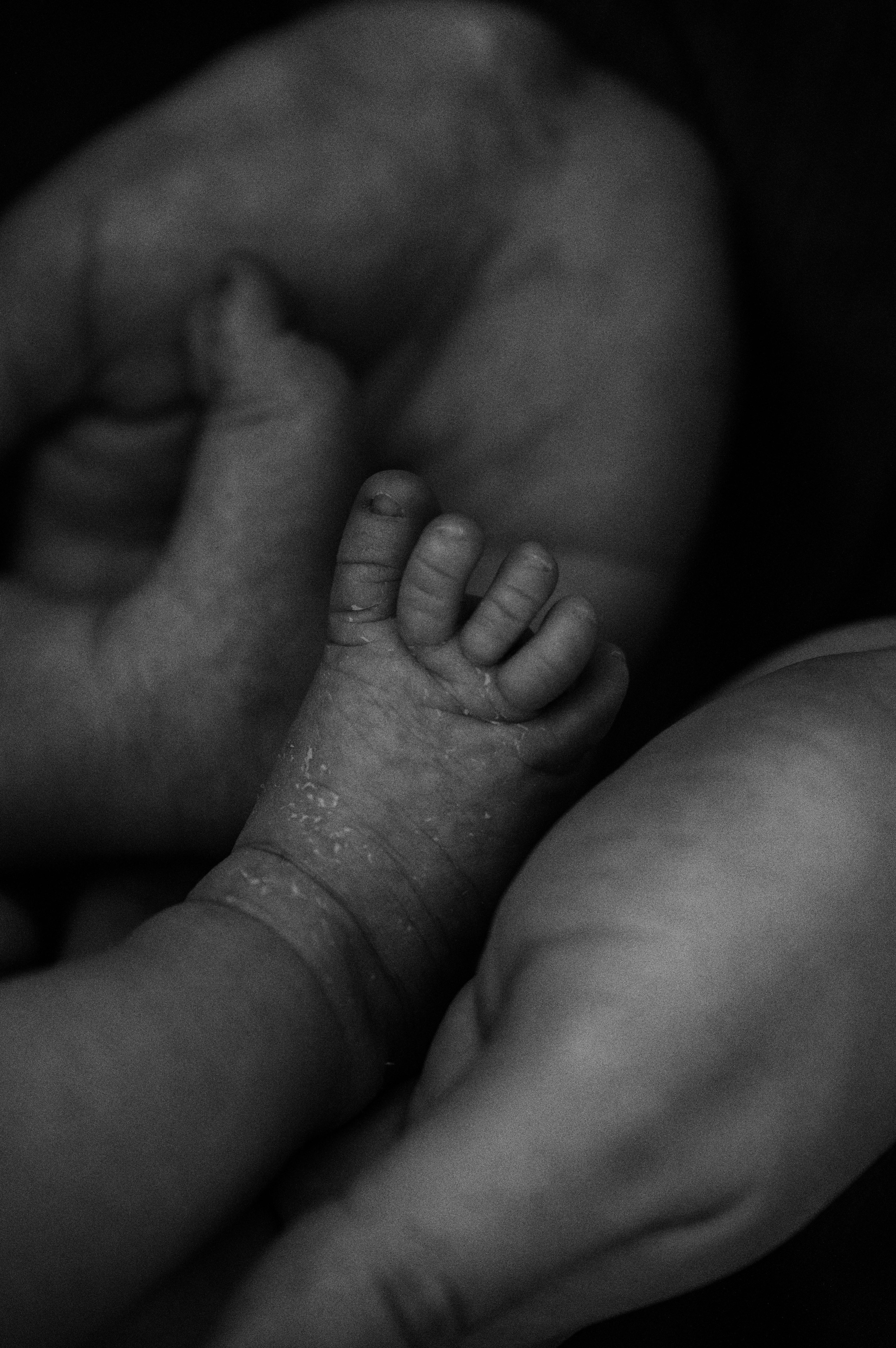 Лизавета, Никита и Мирослава. Фотограф беременности и семьи, домашние съемки, Ньюборн