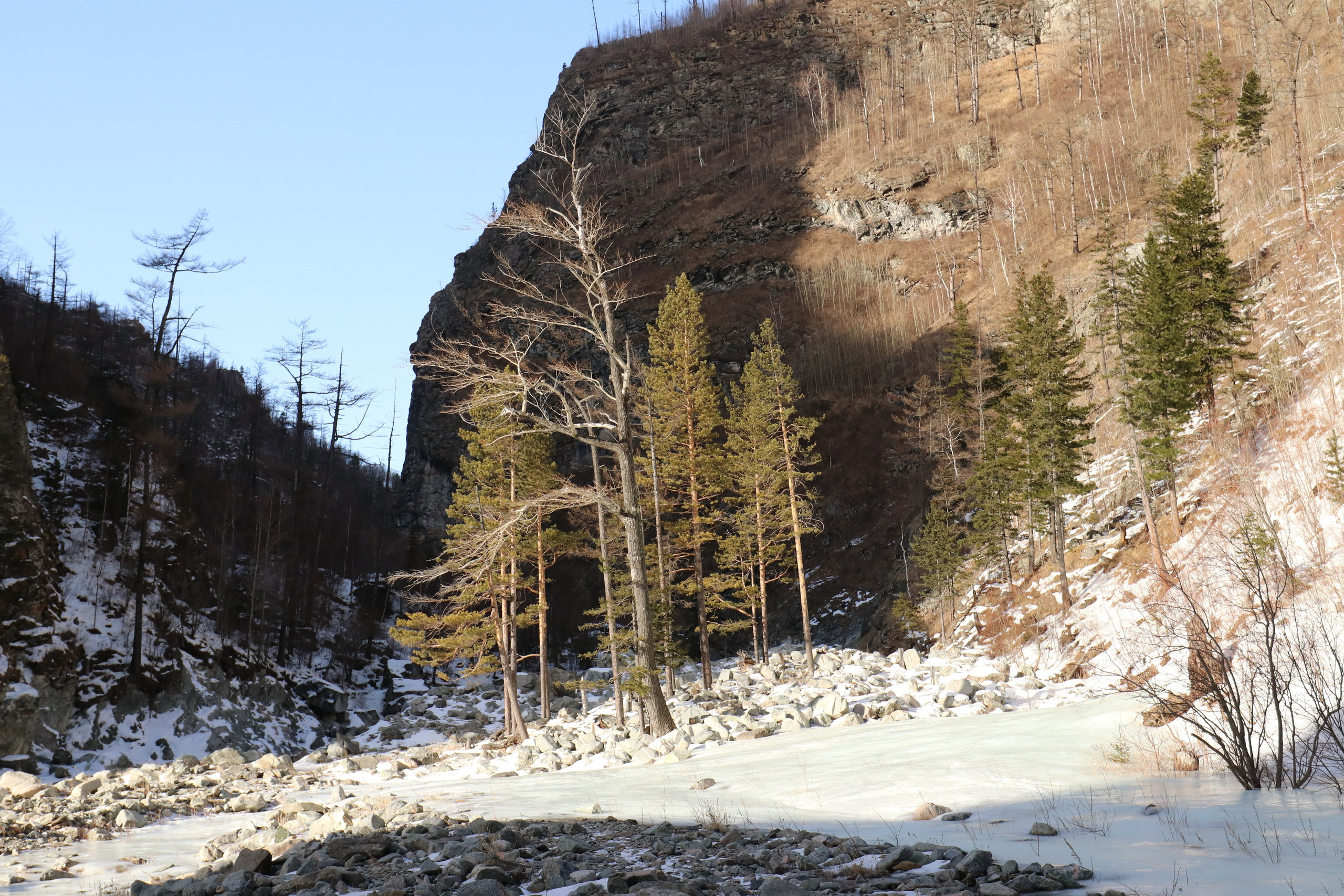 Аршан. Март 2023. Путешественник-фотограф из Санкт-Петербурга Татьяна Свистулина